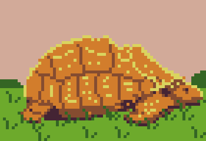 Turtle.png