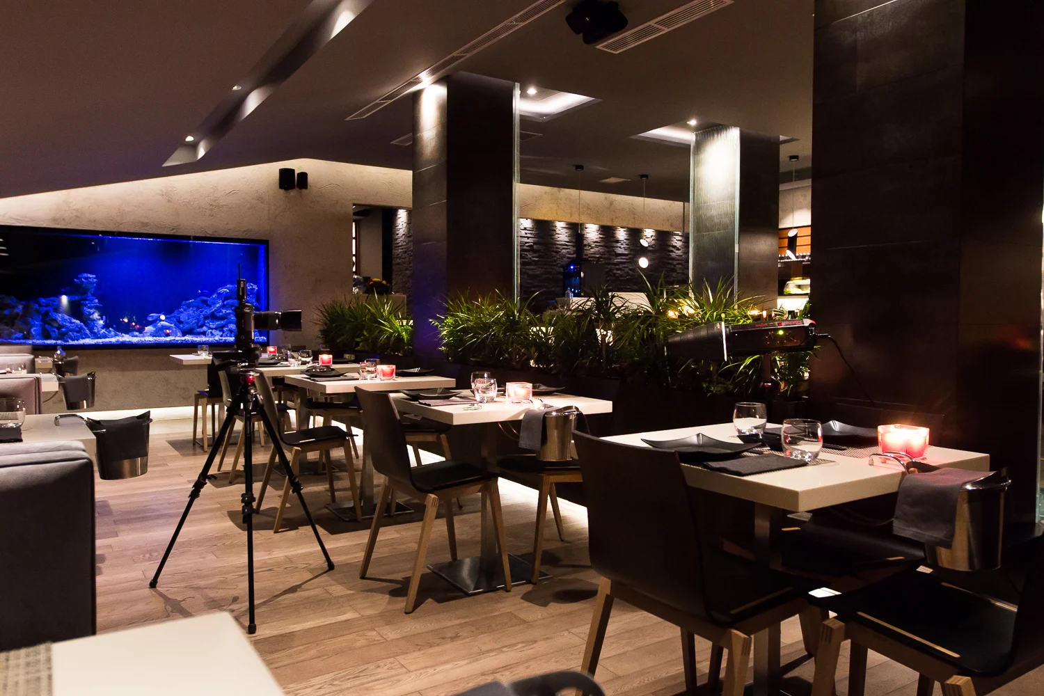 Shooting at Tomoe Japanese Restaurant