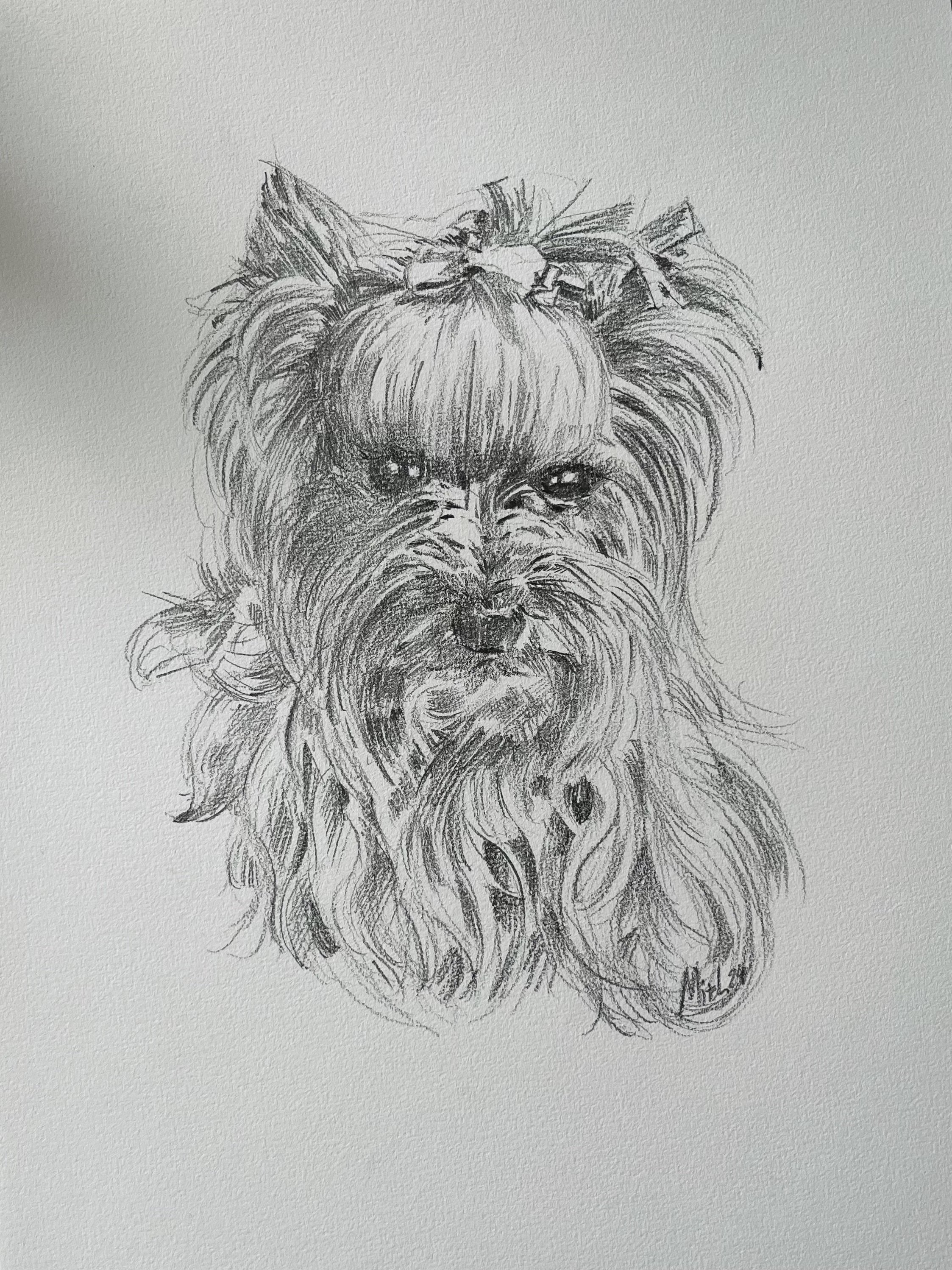 IMG_2243 - copie.jpg