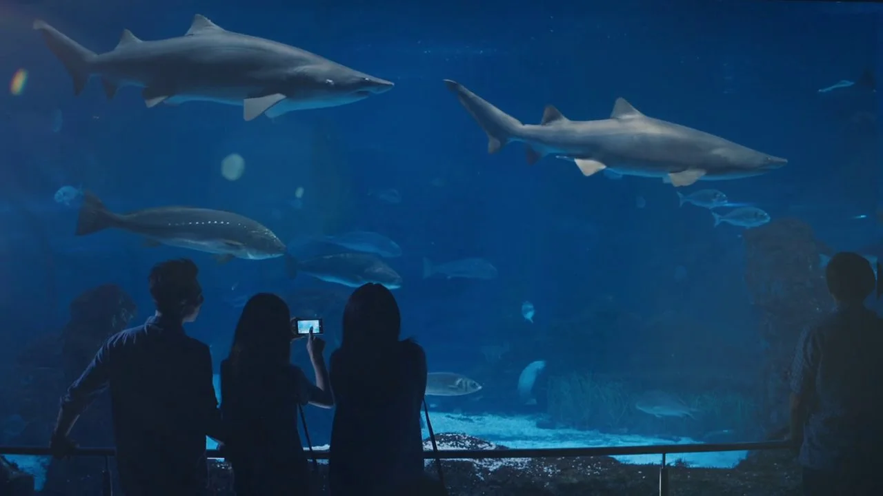 Nokia "See in the dark"