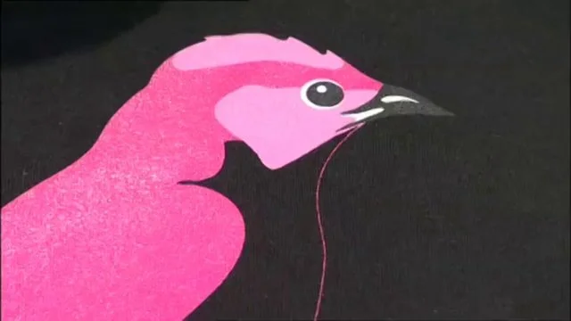 Ego Has More Value Than the Dollar