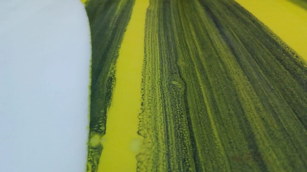 WhatsApp Image 2021-05-17 at 11.37.59 AM.jpeg