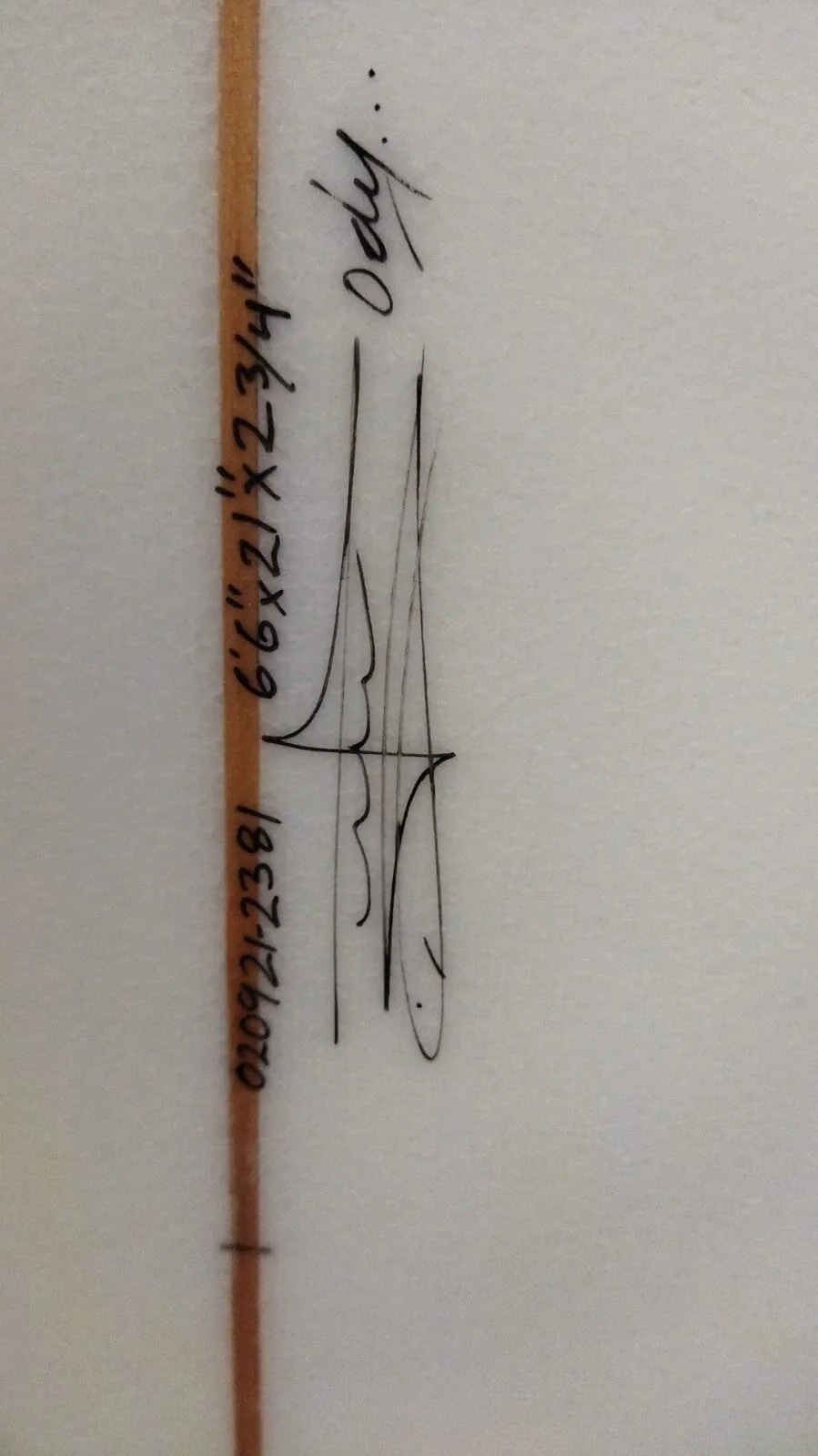 2381_6'6 Fish_4.jpeg