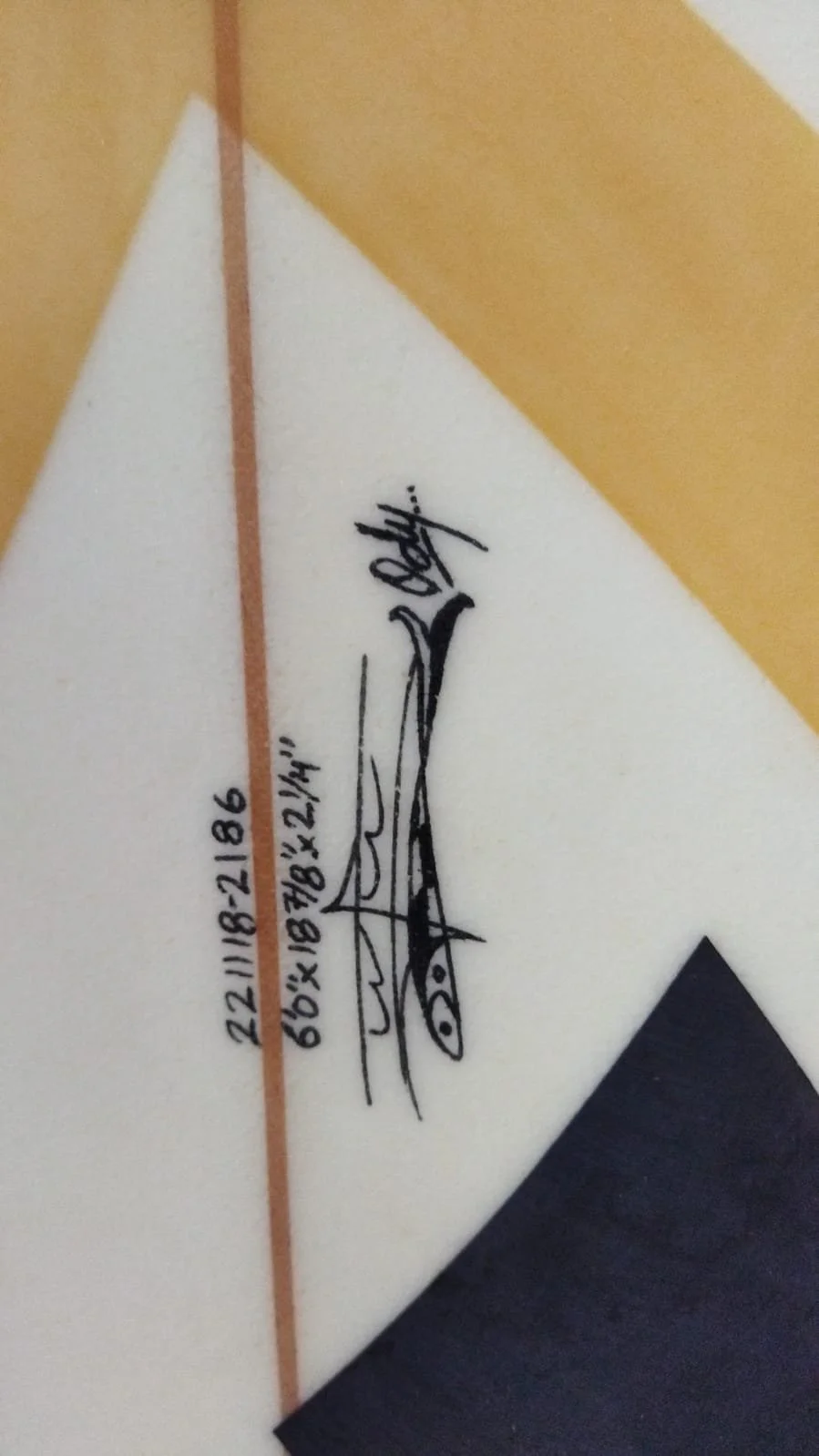 WhatsApp Image 2022-10-12 at 3.45.29 PM.jpeg