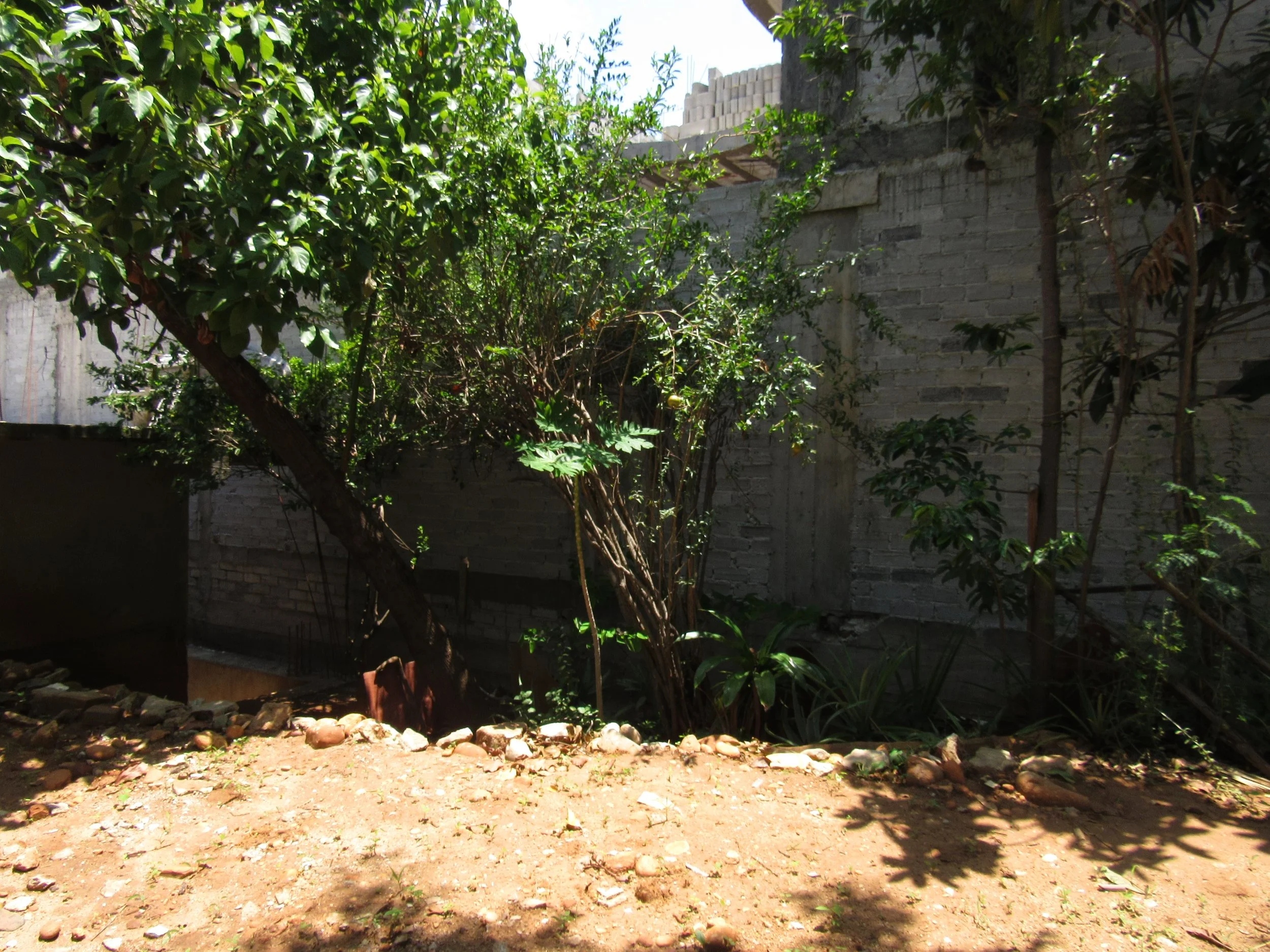 13_fruit_2_pomegranate soursop.JPG