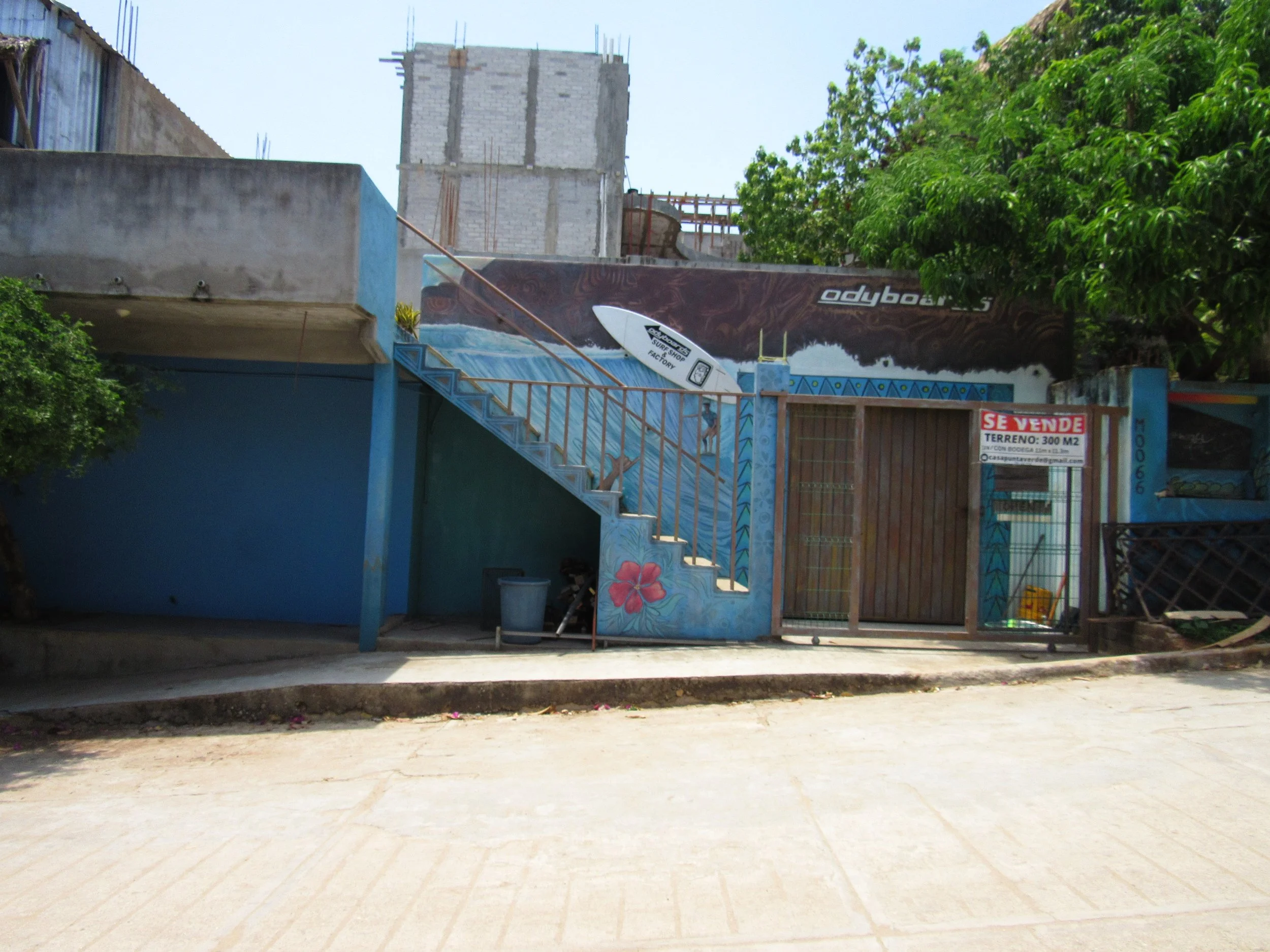 0_Bodega South View 1.JPG