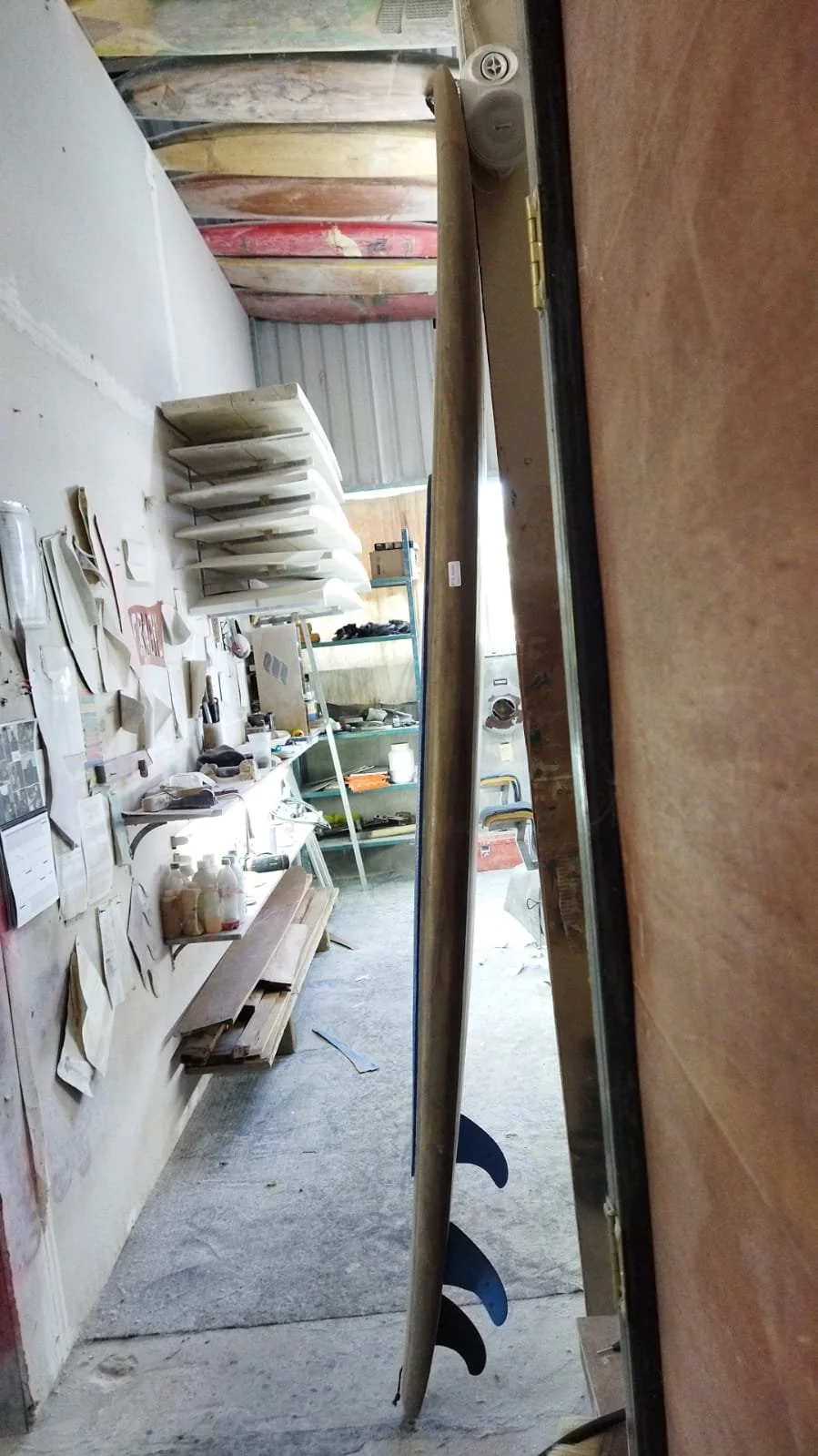 WhatsApp Image 2023-08-17 at 11.15.44 AM.jpeg