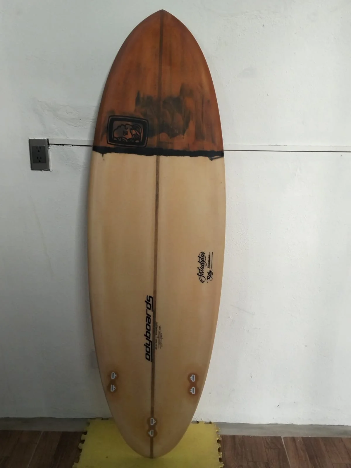 WhatsApp Image 2026-01-12 at 6.44.16 PM.jpeg