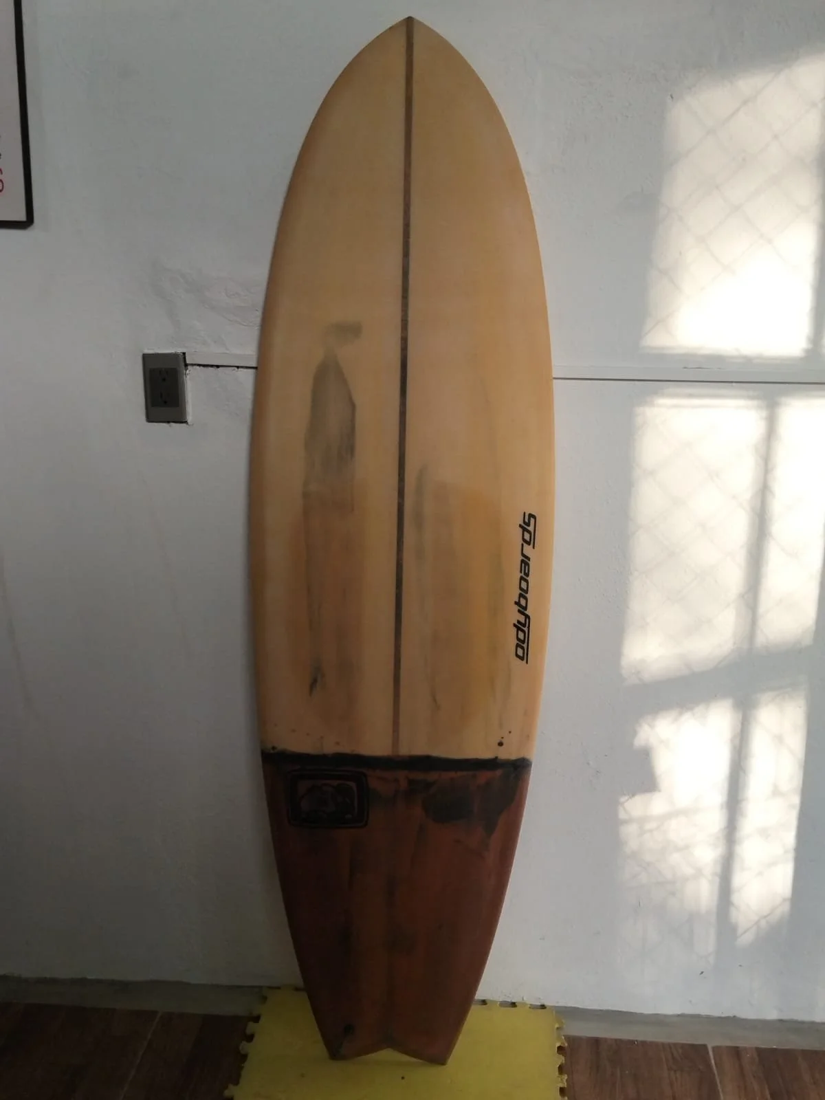 WhatsApp Image 2026-01-12 at 6.31.41 PM.jpeg