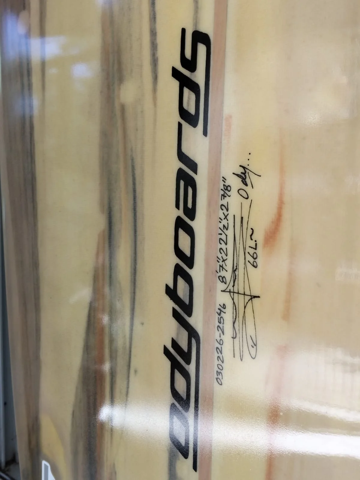 WhatsApp Image 2026-02-11 at 11.16.37 AM.jpeg