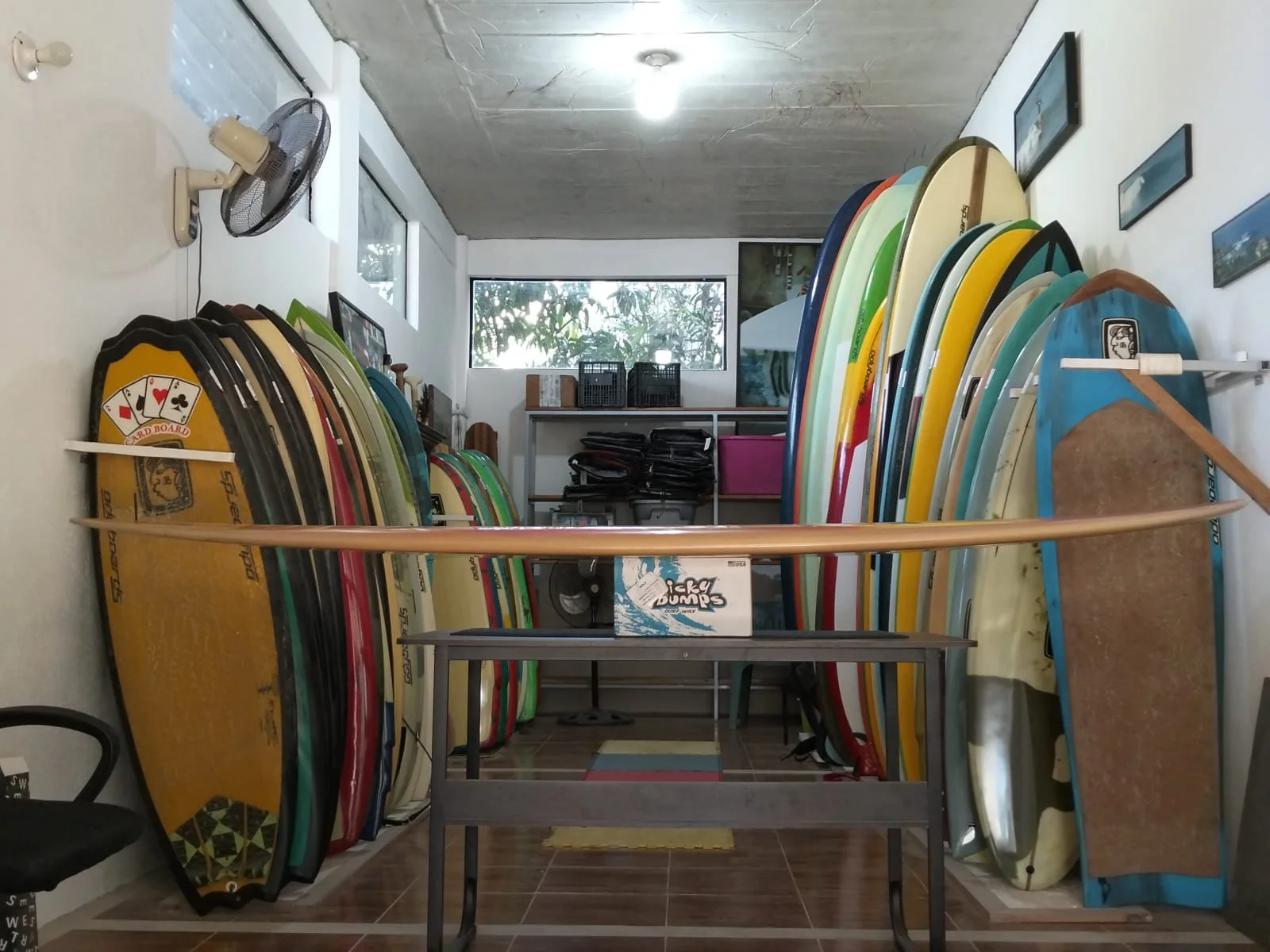 WhatsApp Image 2026-02-11 at 11.22.27 AM.jpeg