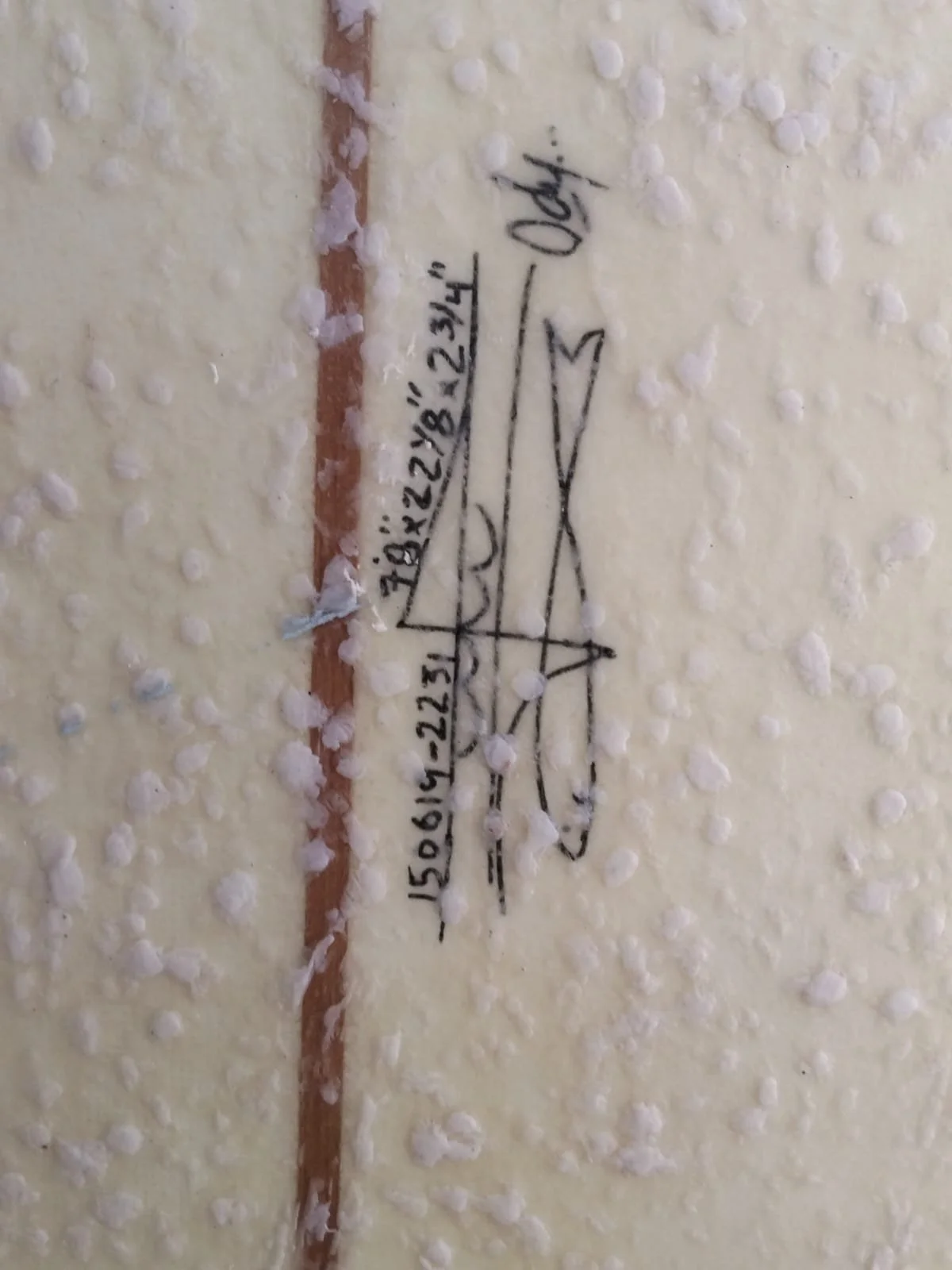 WhatsApp Image 2025-11-25 at 1.24.35 PM.jpeg