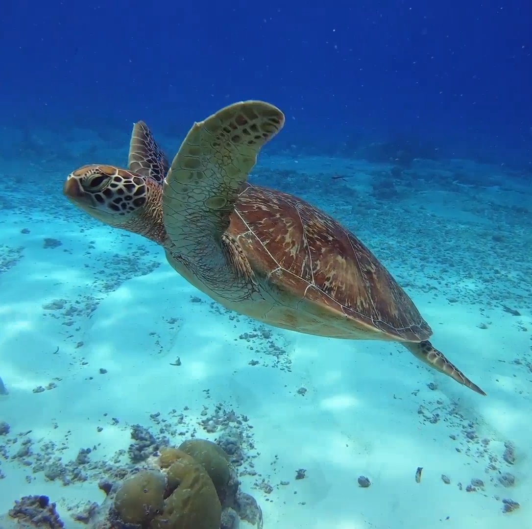 Vision Source – Plastic Neutrality- Patient Video 2023 v2.jpg