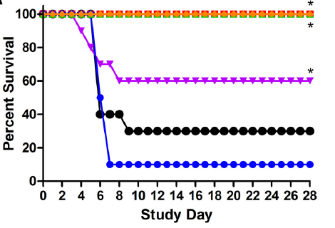 Virus challenge was on day 0, and once-daily i.p. dosing of tilorone at 30mg/kg was given at 2 h postinfection (h p.i.) (red), 30 mg/kg at 24 h p.i. (green), 60 mg/kg at 2 h p.i. (purple), 60 mg/kg at 24 h p.i. (orange), and 60 mg/kg at 48 h p.i. (black), or vehicle was given (blue). (A) Kaplan-Meier survival curves. *, P < 0.01 for treatment versus vehicle groups, assessed by log-rank analysis using the Dunnett-Hsu procedure to adjust for multiple comparisons.