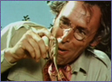 grasshopper5.jpg