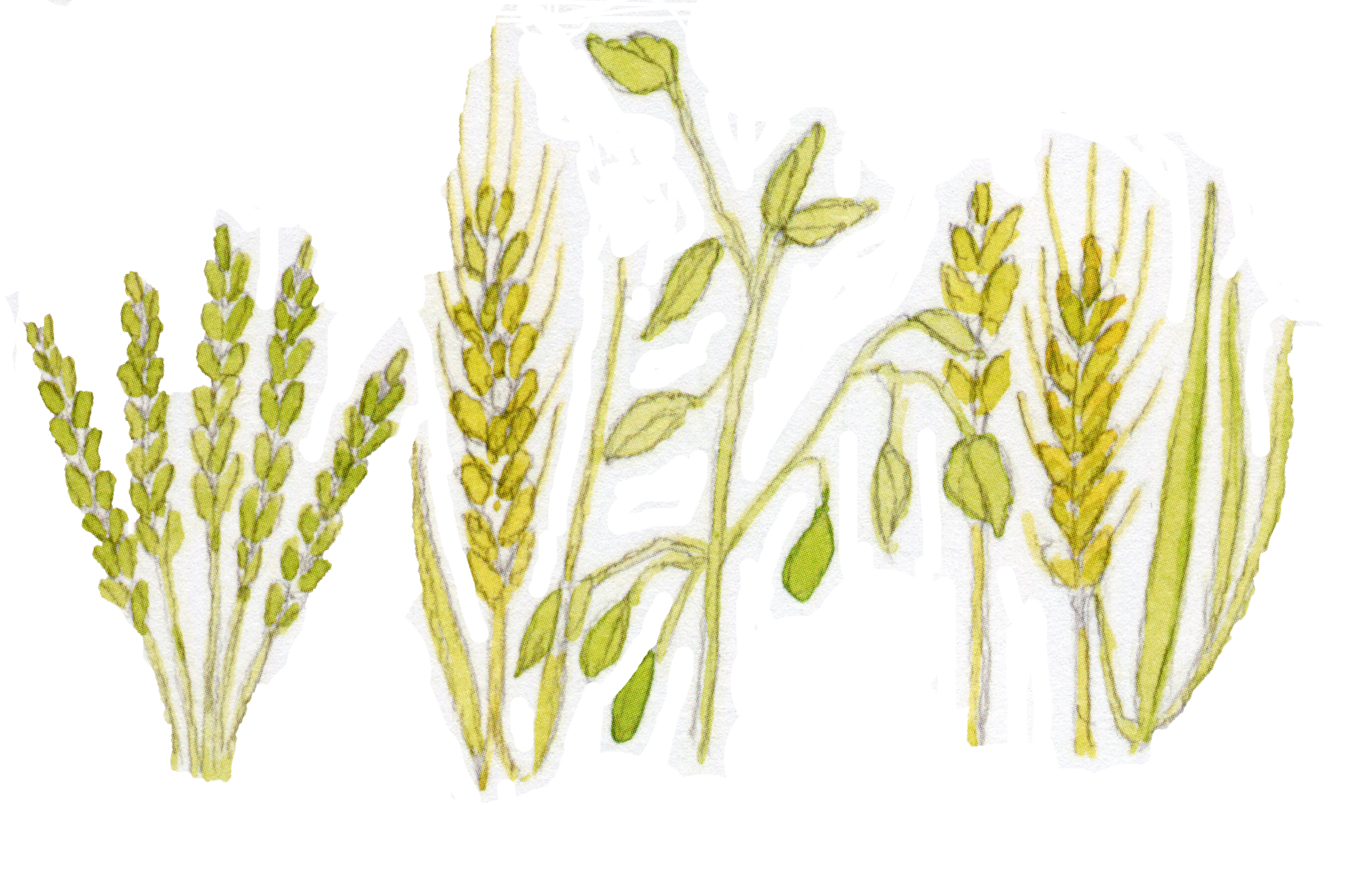 B3.P1 . 24. E + G p. 8.png
