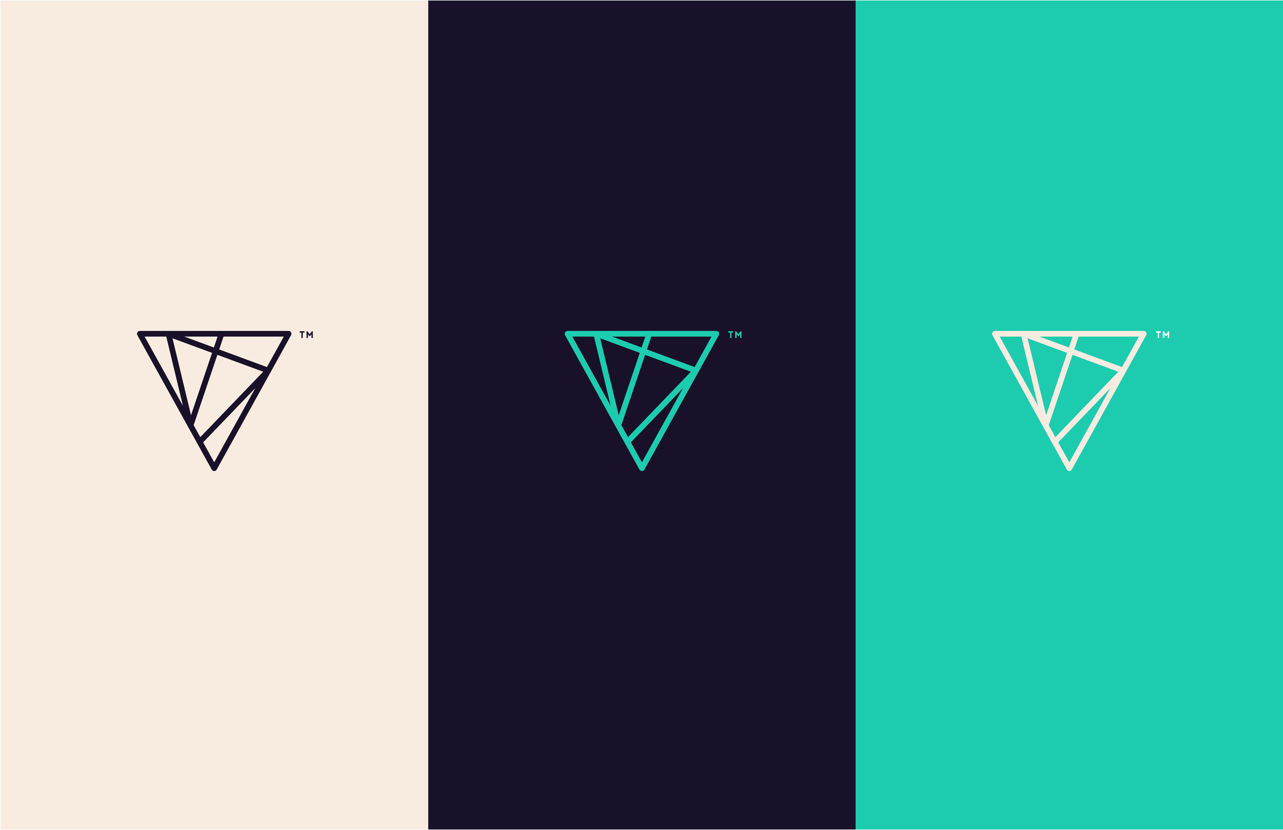 VoxaPod_LogoPresentation_Round1_V5_3.jpg