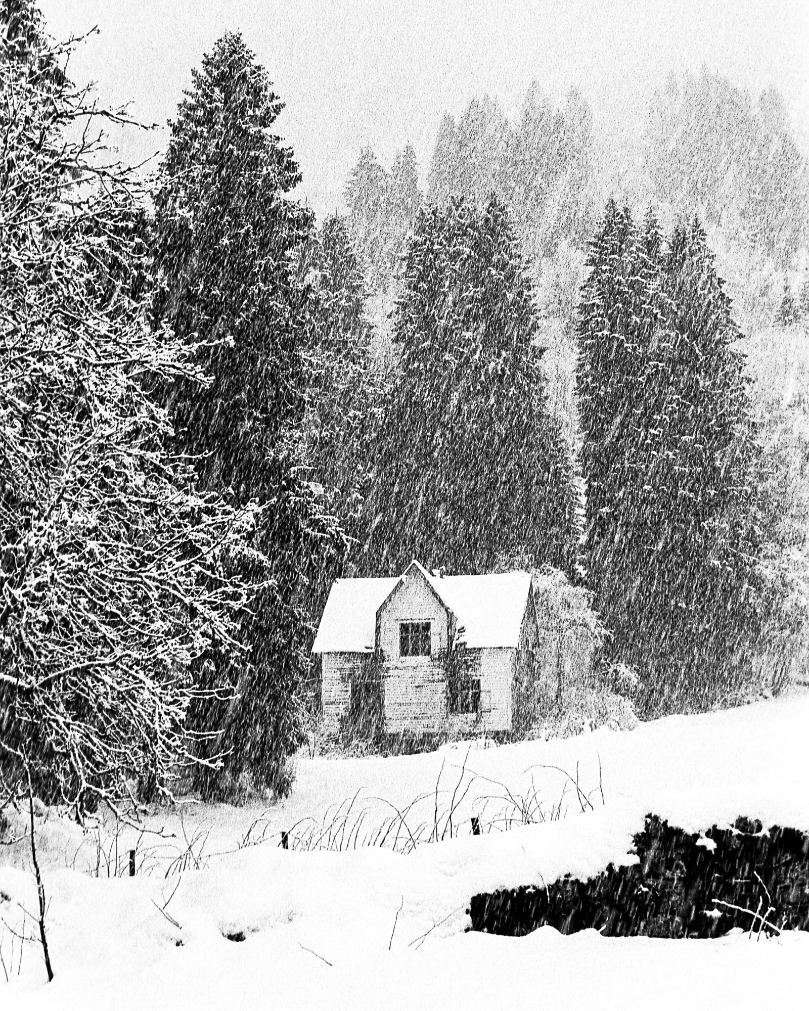 Walking With A Nordic Limp 1 (7 of 54).jpg