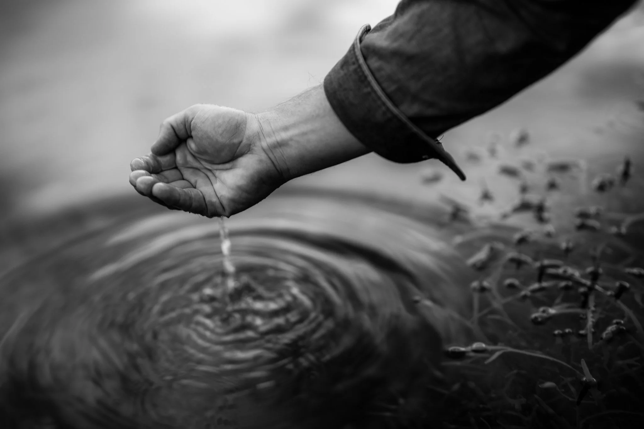 Outdoors (1 of 1)-3.jpg