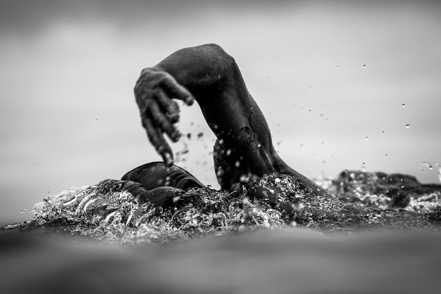 Portraits - Fjordlapse 2025 (1 of 1).jpg