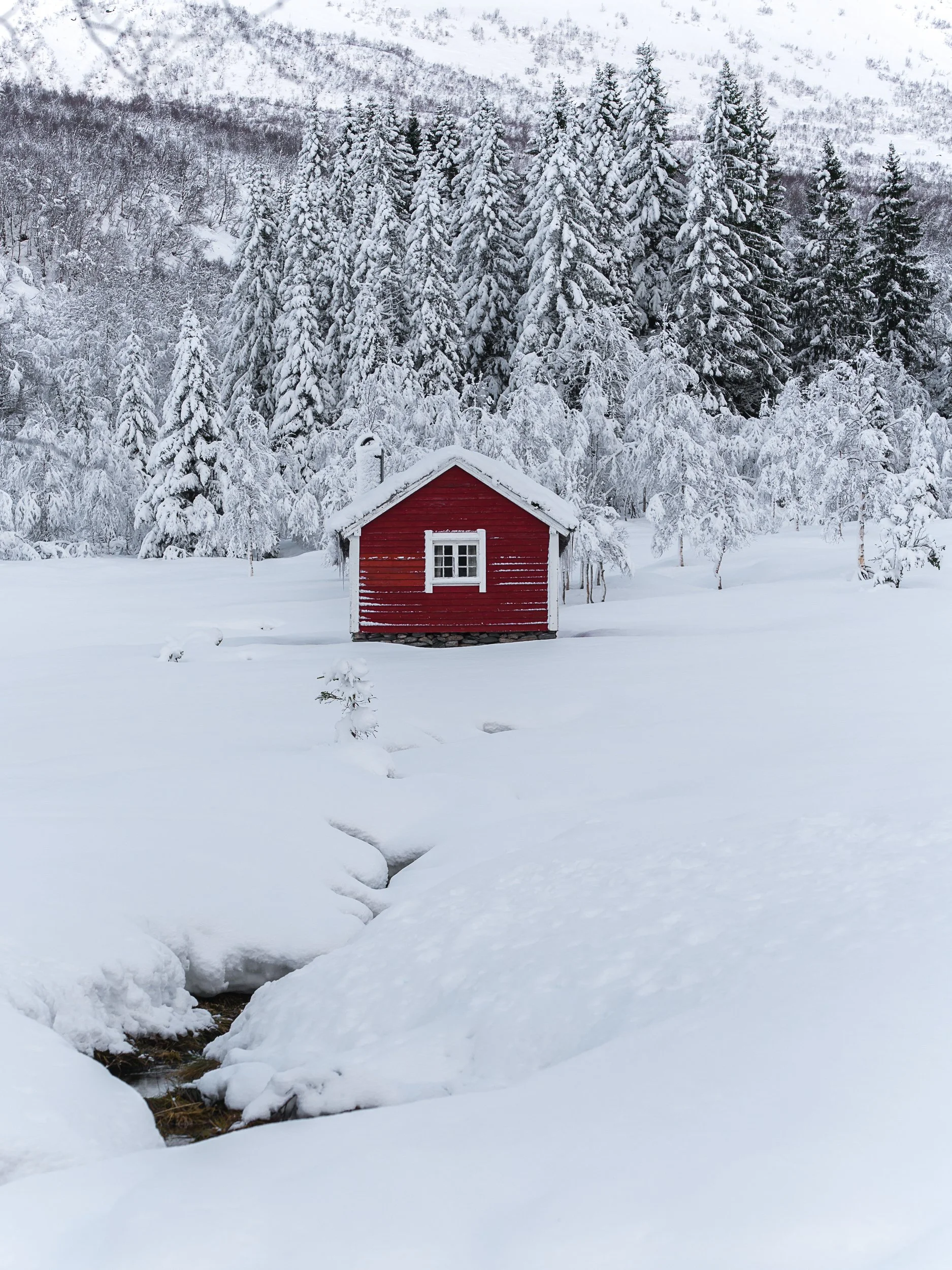 Norangerdalen Roadtrip Vinter Dec-25 (23 of 46).jpg