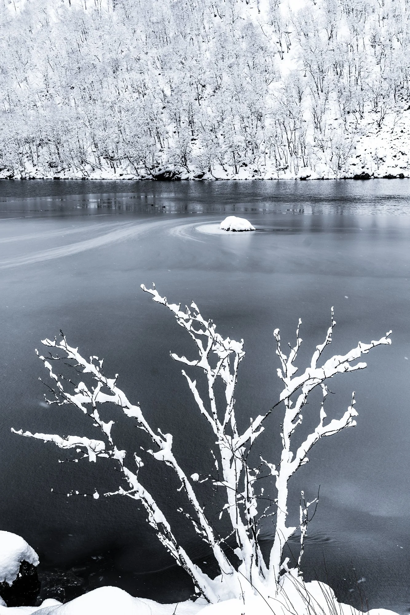 LandscapeTestamente (141 of 340).jpg