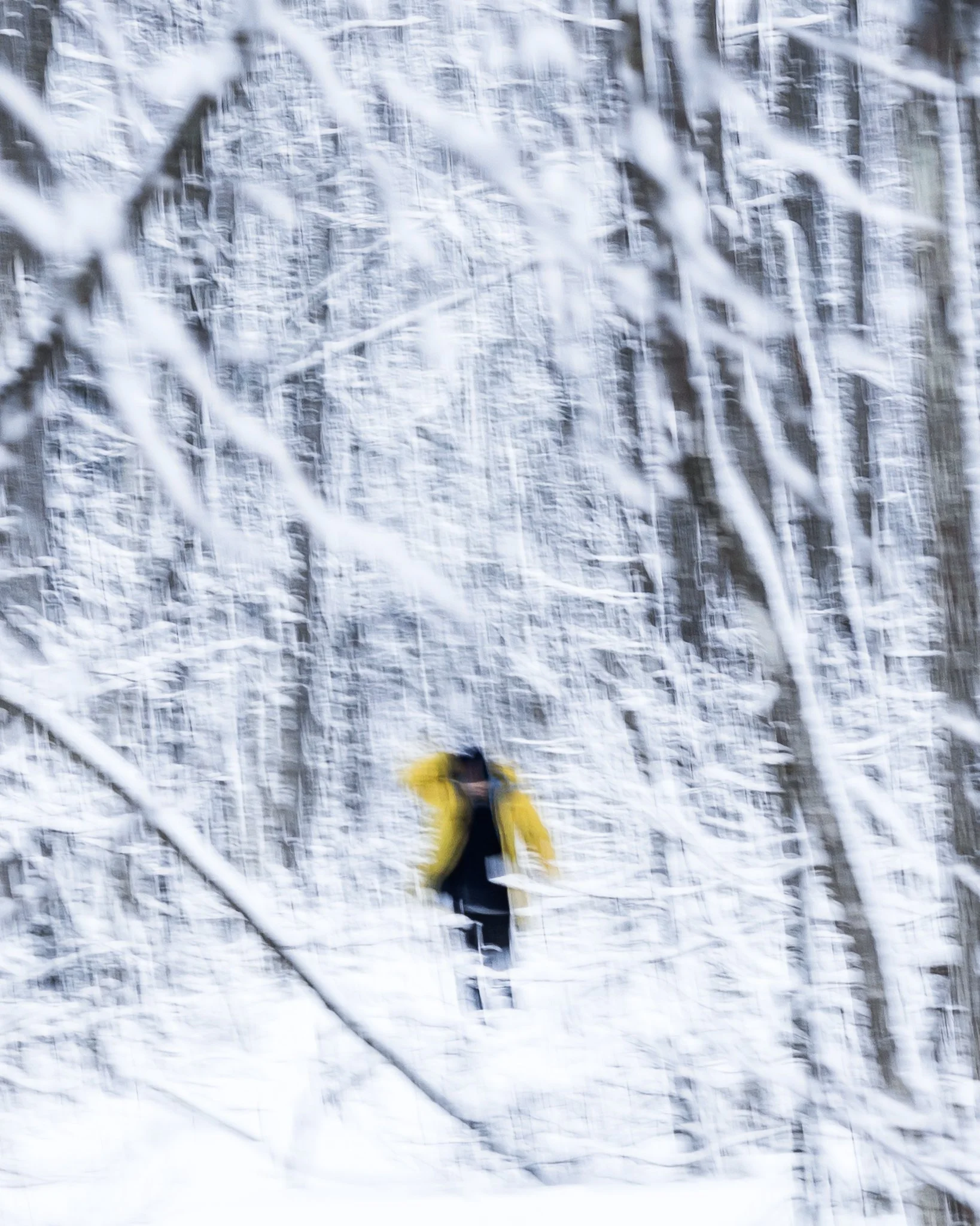 porträtt (1 of 1)-3.jpg