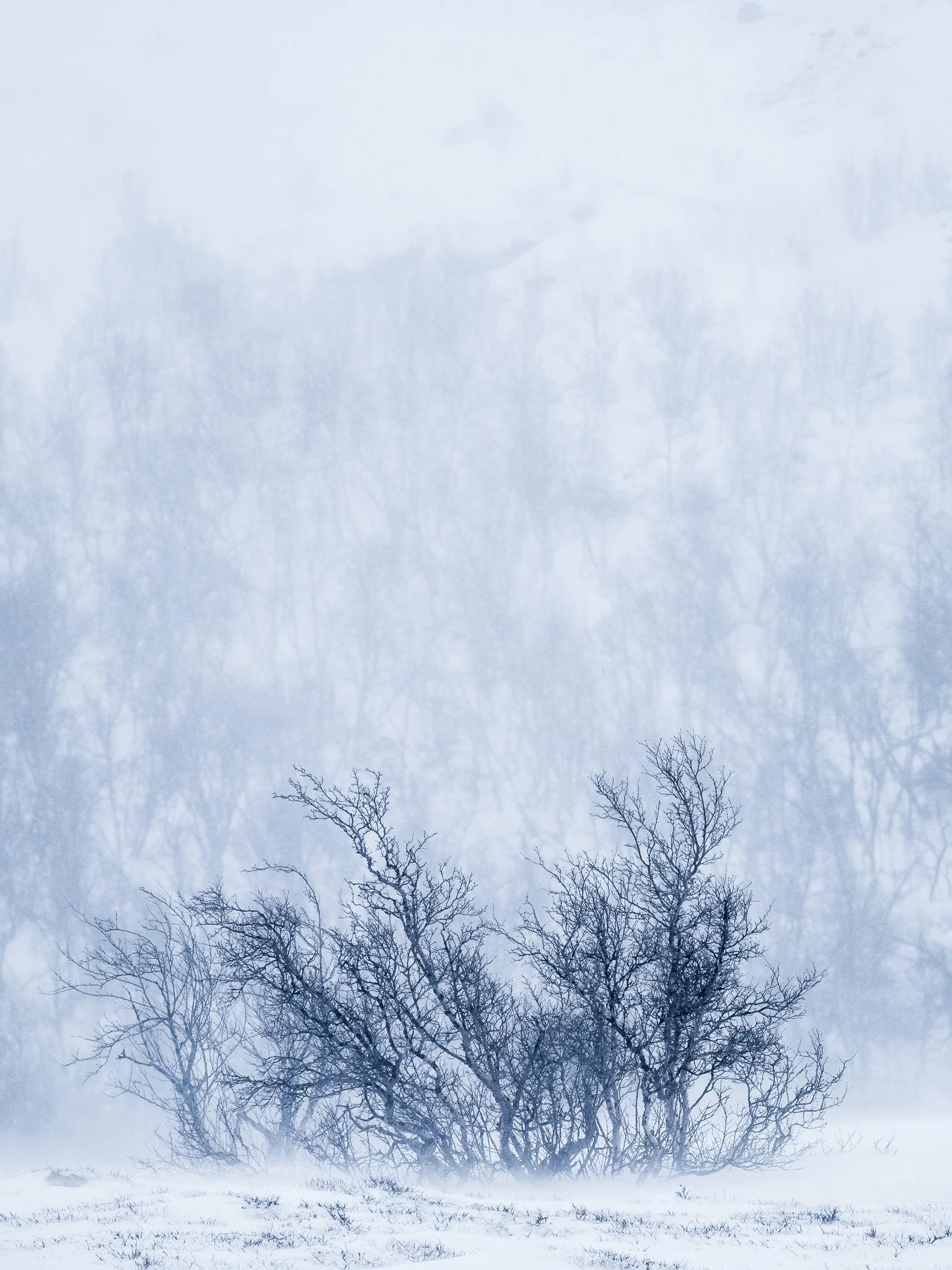 Landscape (1 of 1)-3.jpg