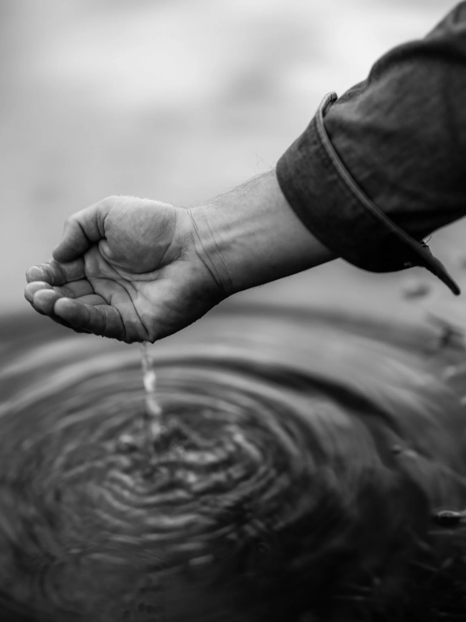 Landscape (1 of 1)-33.jpg