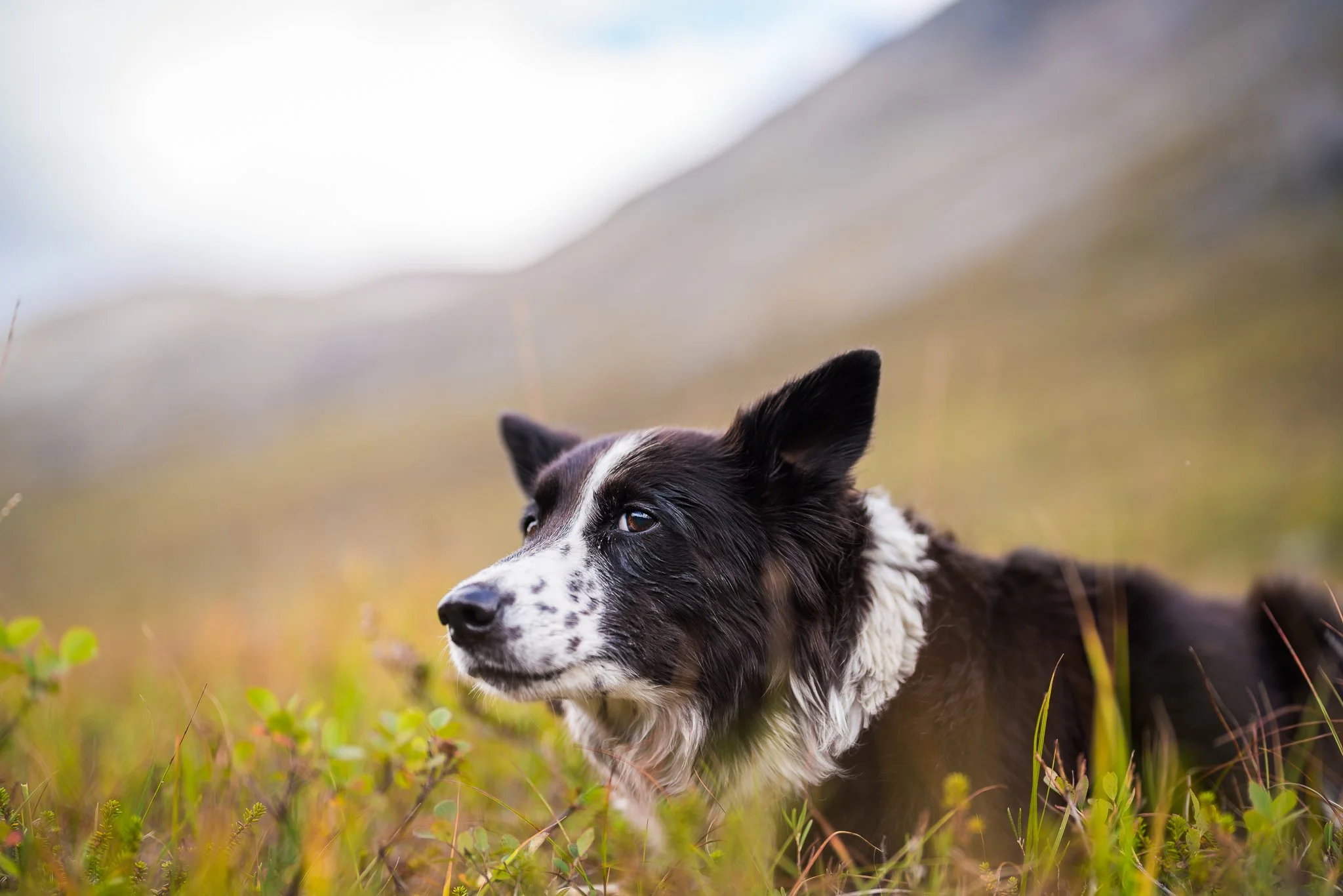 eventyrgutten (1 of 1)-13.jpg