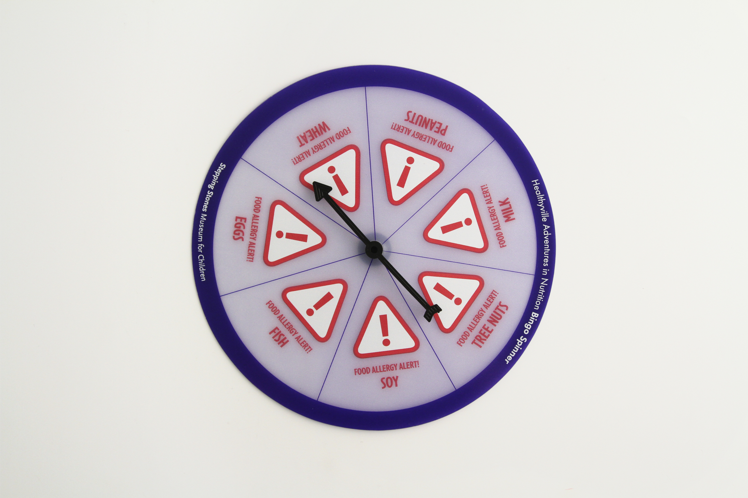 Food Allergy Spinner Learning Tool - Scr 3/0