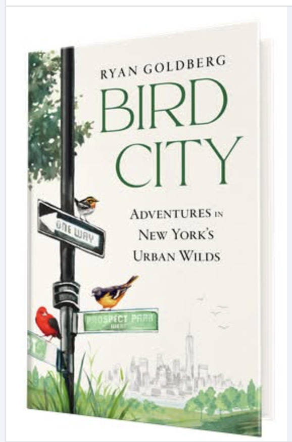 Photo of book: Bird City by Ryan Goldberg