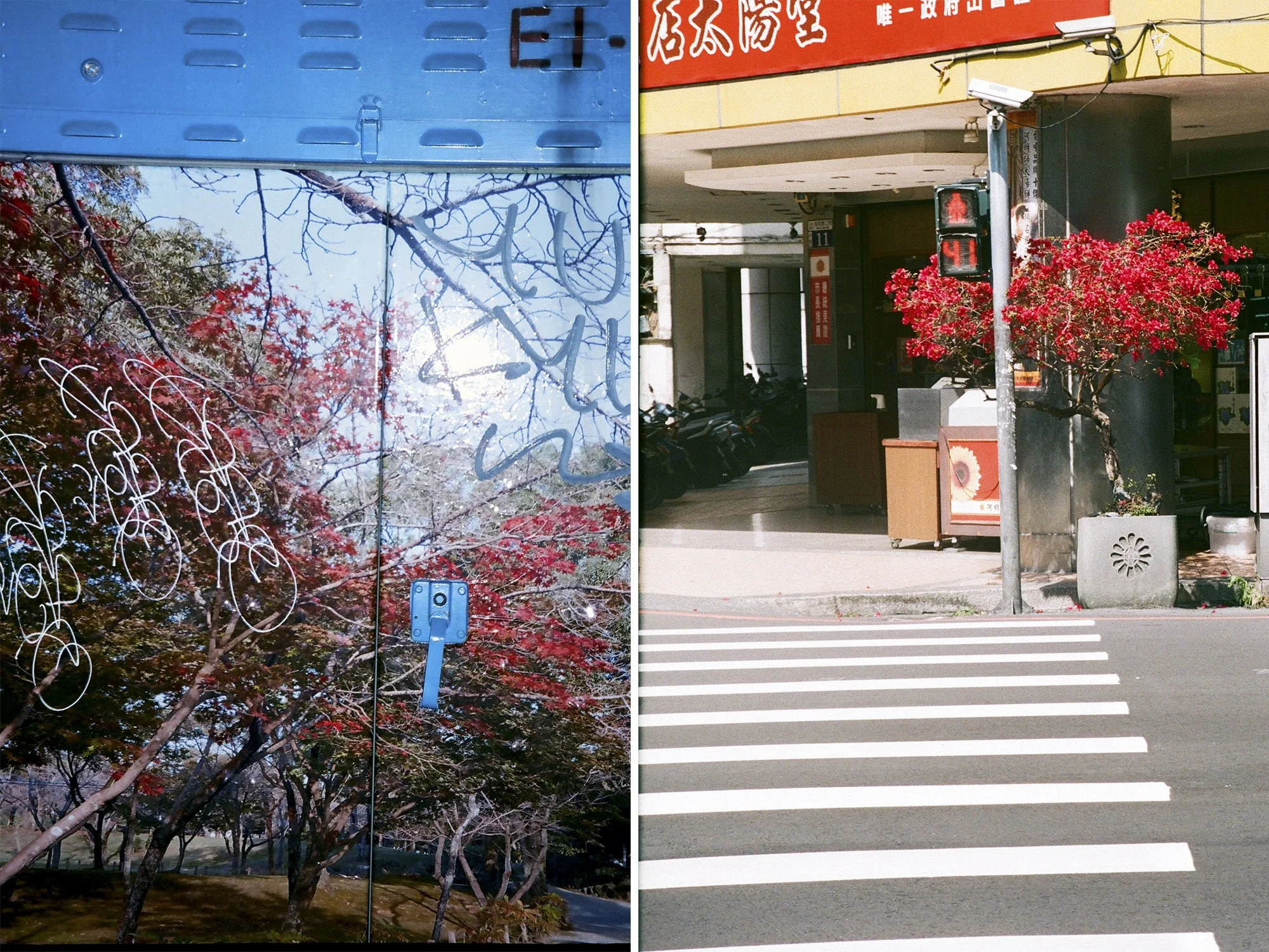 Day & Night.jpg