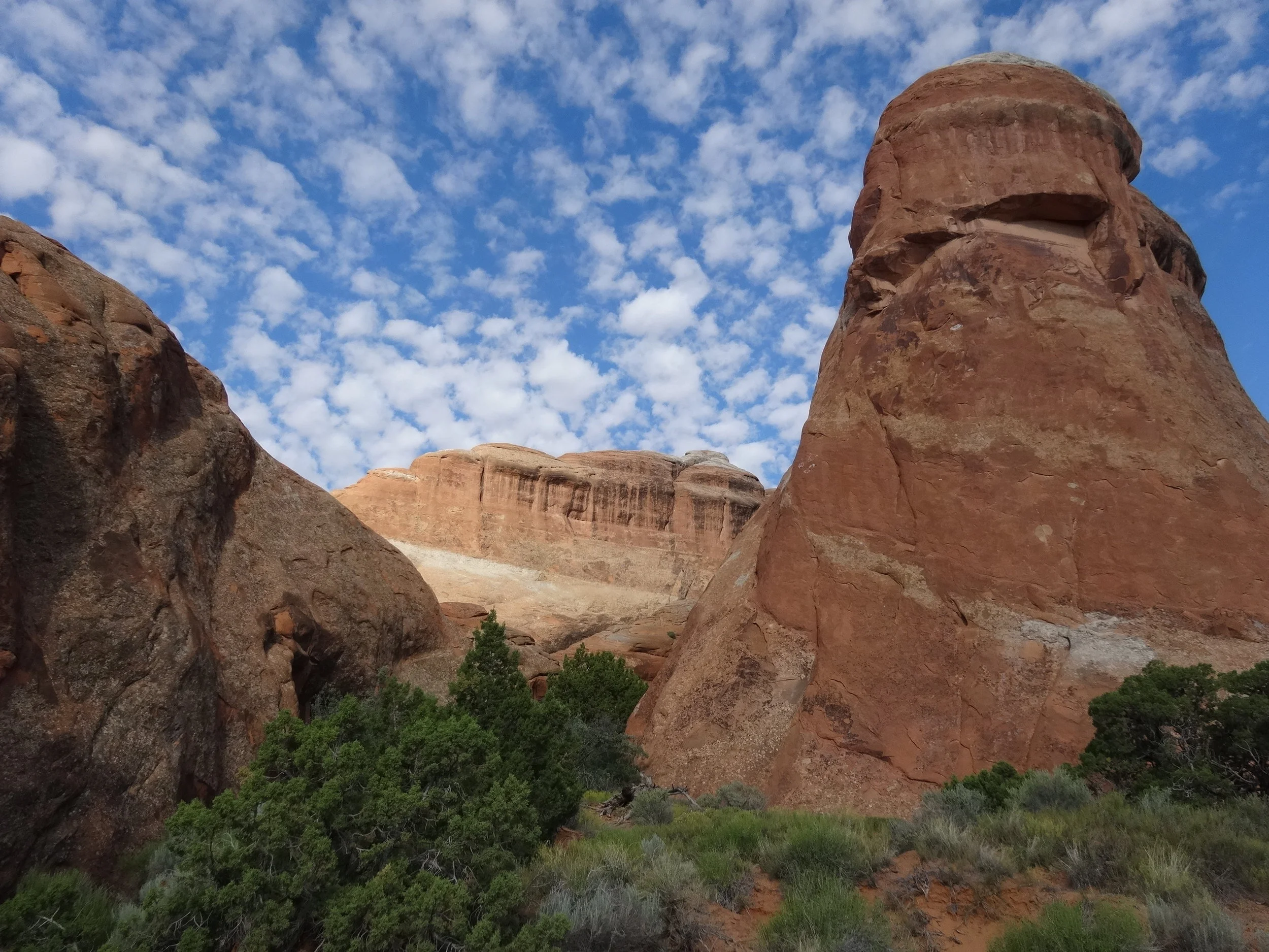 Everything is Energy