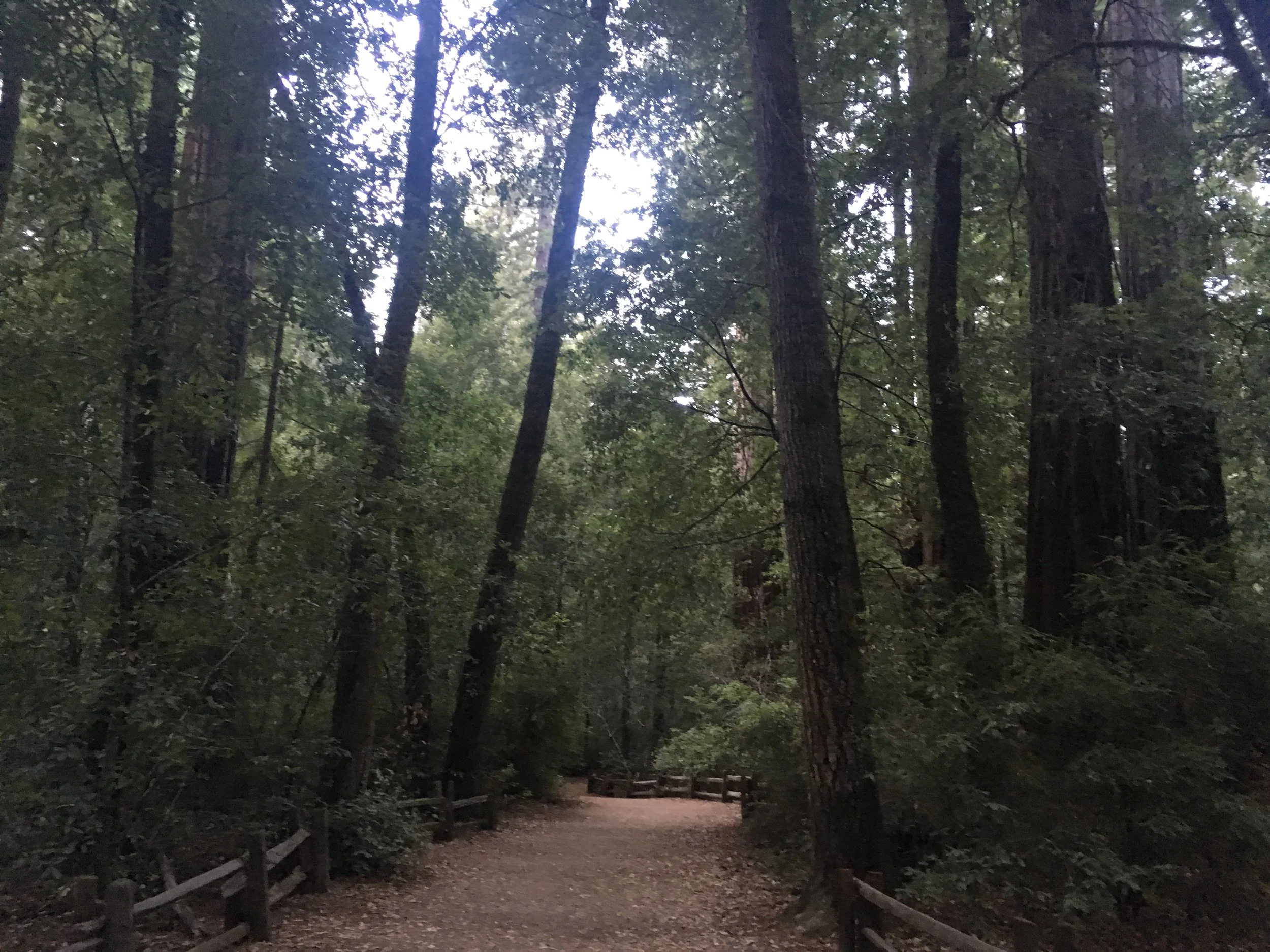 Let the Space Tell You What it Needs