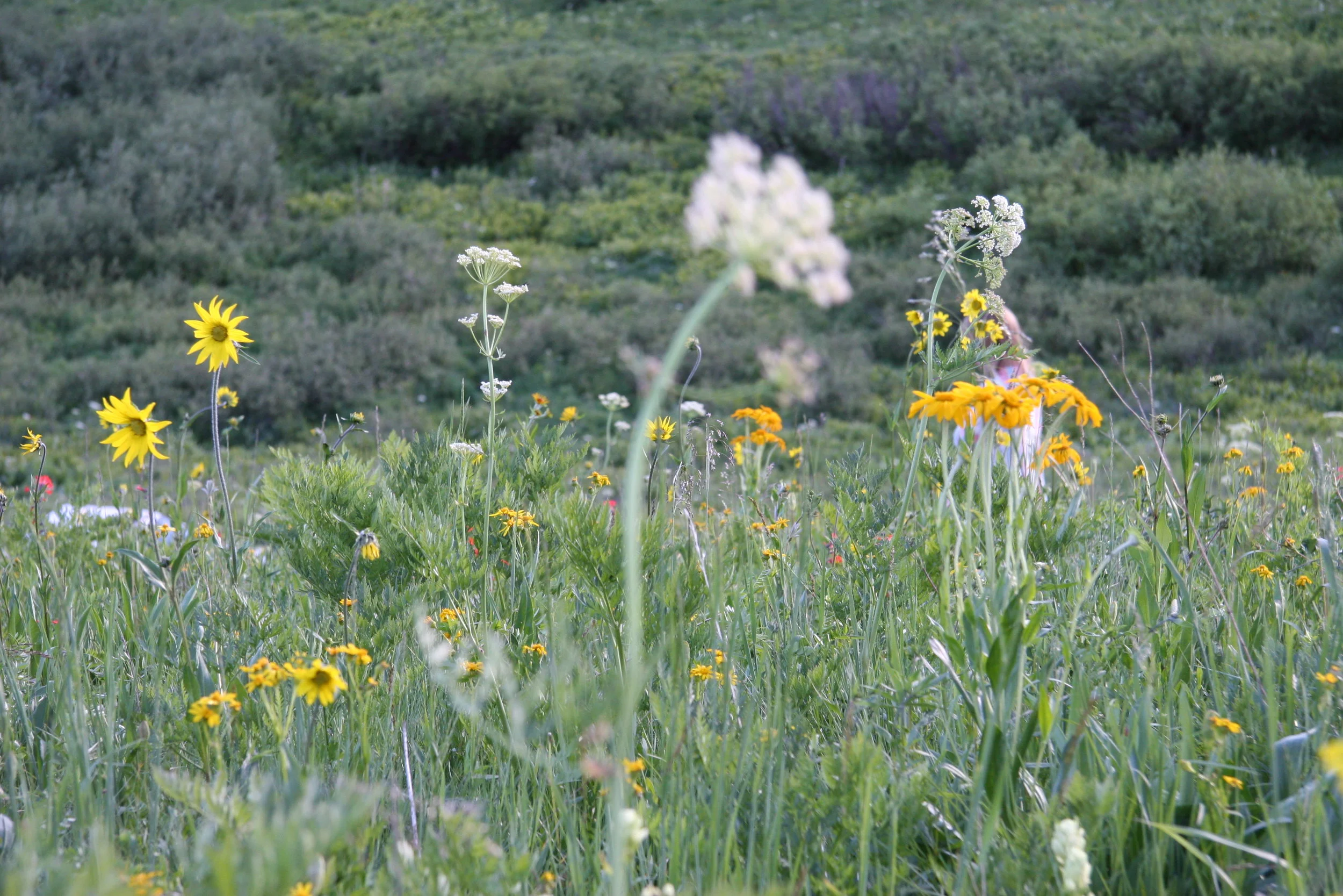 Returns at TJ Maxx - Freak Out