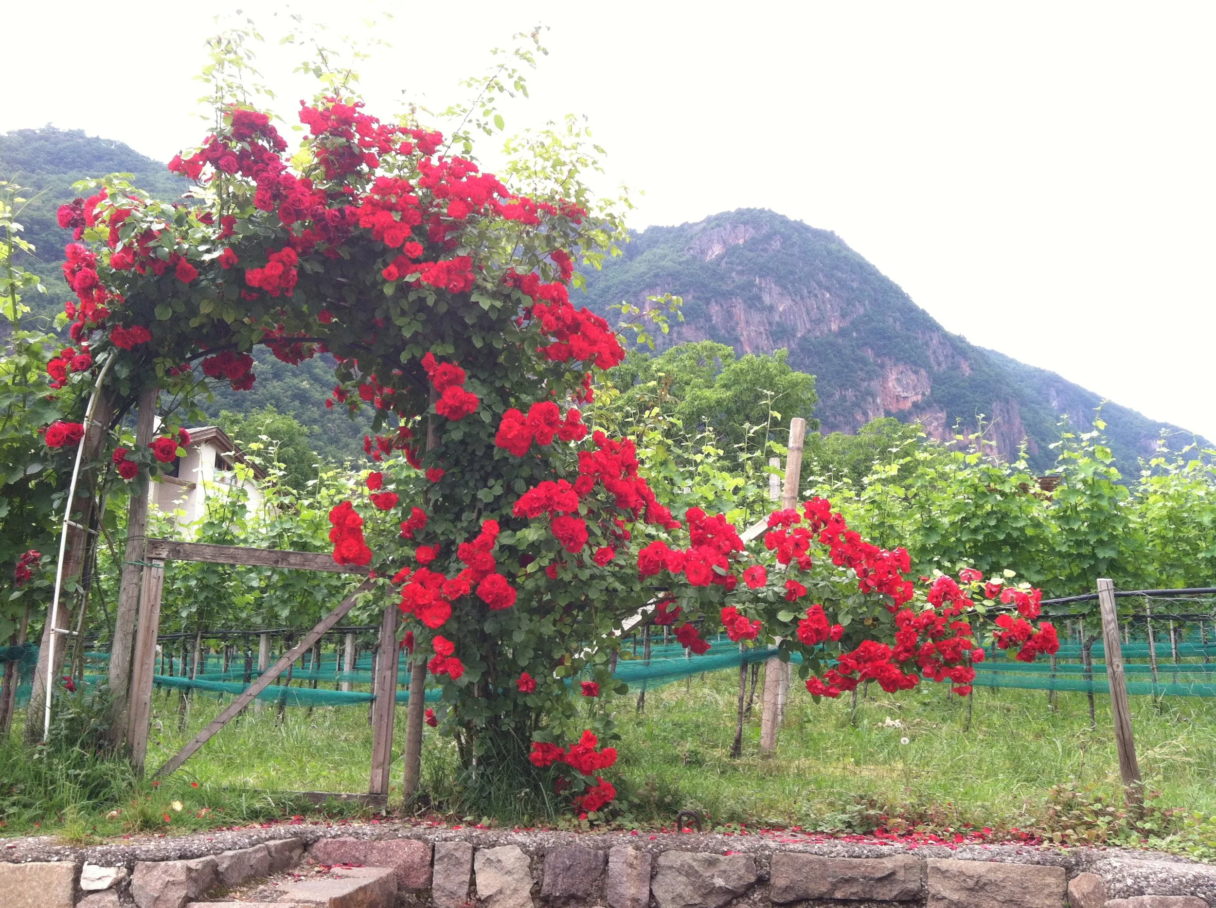 Containers:  First or Last?