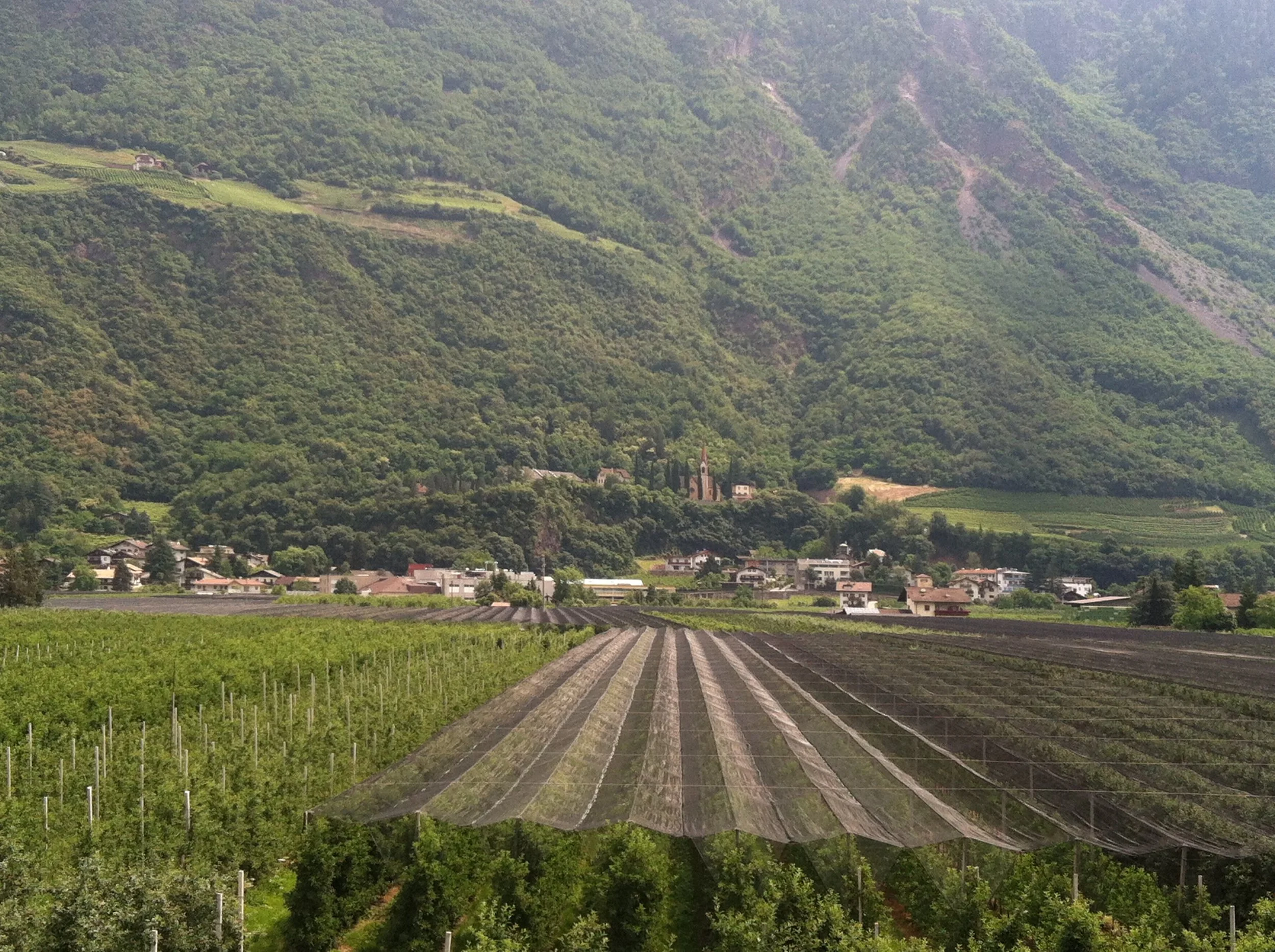 Challenge:  8 Items a Day