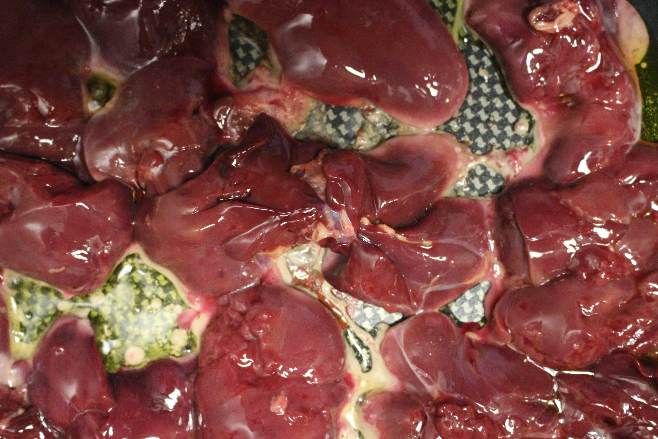 Stage 2! Chicken liver and berry puree | Me & The Moose.