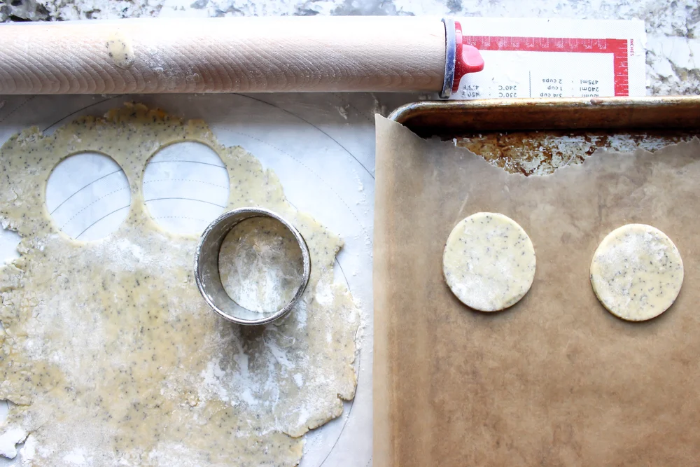 Lemon poppyseed hamantaschen | Me &amp; The Moose. These hamantaschen are a twist on a classic and a quick-cooking spring-y cookie. #meandthemoose #hamantaschen #lemonpoppyseed #cookies #cookierecipes #purim #Jewishrecipes #baking #easybaking