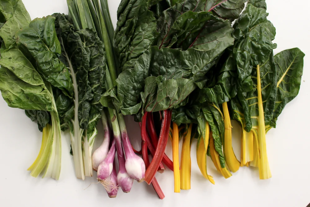 Rainbow Chard Galette | Me & The Moose. This galette is a super-easy show stopper for Easter and beyond! we ate it for dinner last night and the preschooler didn’t bat an eye at the heaps of greens. #meandthemoose #rainbowchard #sidedishes #vegetarian #vegetarianrecipes #rainbowchardrecipes #farmersmarketrecipes #easterrecipes #easterbrunchrecipes #easterdinnerrecipes