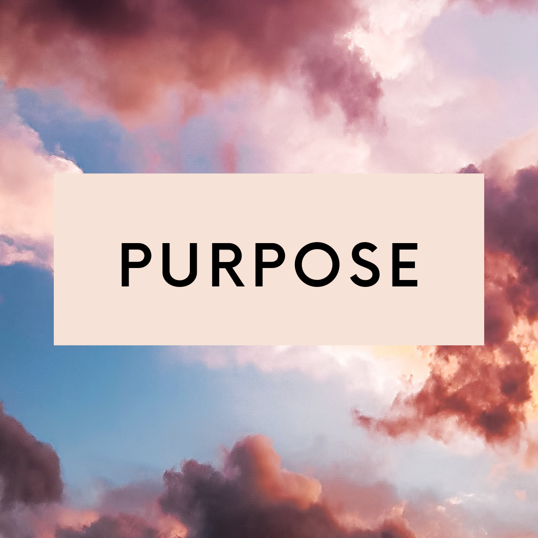 Any journey begins with purpose. Do you know your why? Your mission? What it is that is going to make people sit up and say, I need this person in my life? Aligning with purpose is where the magic happens.