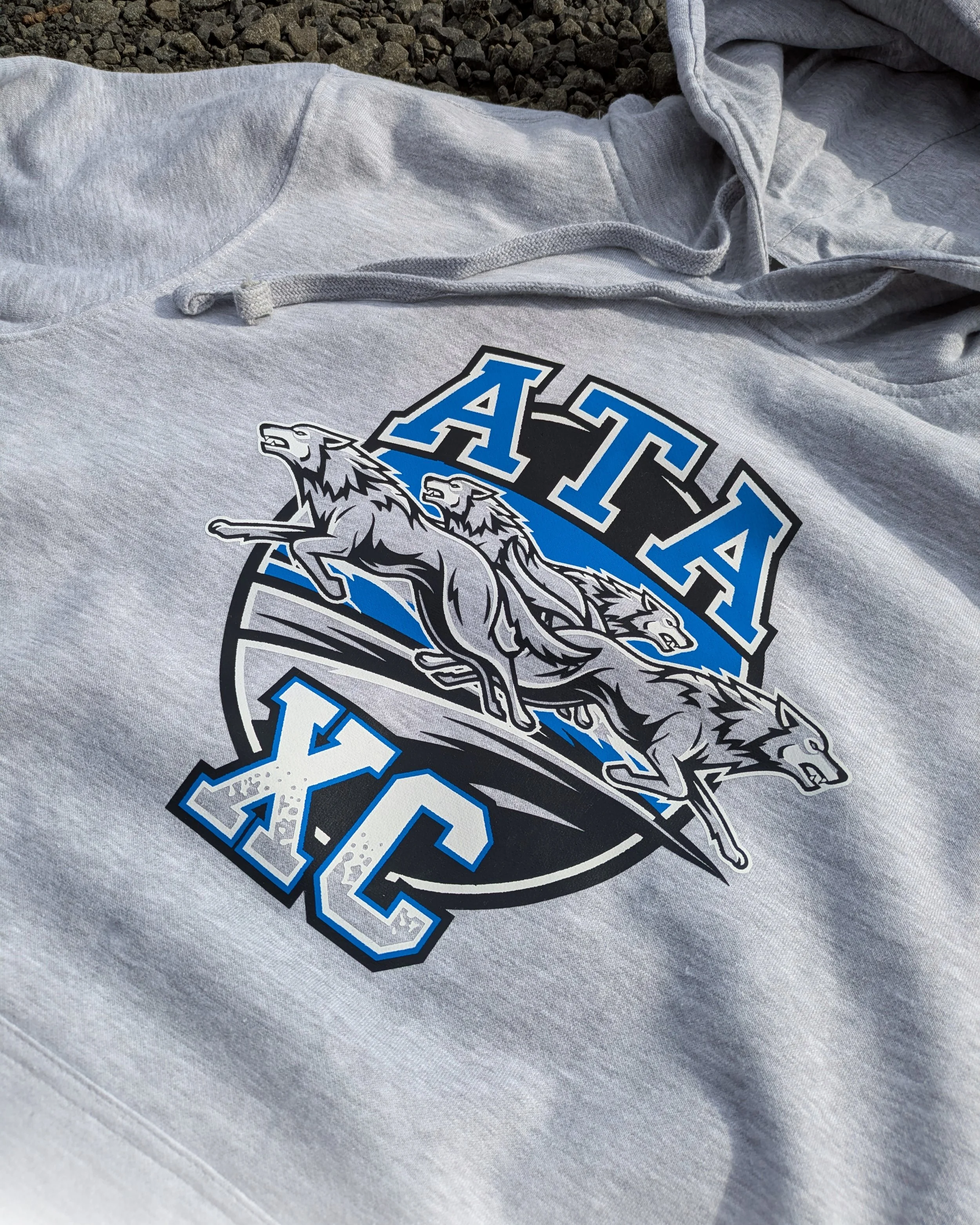Arts and Technology Academy XC 2025.jpg