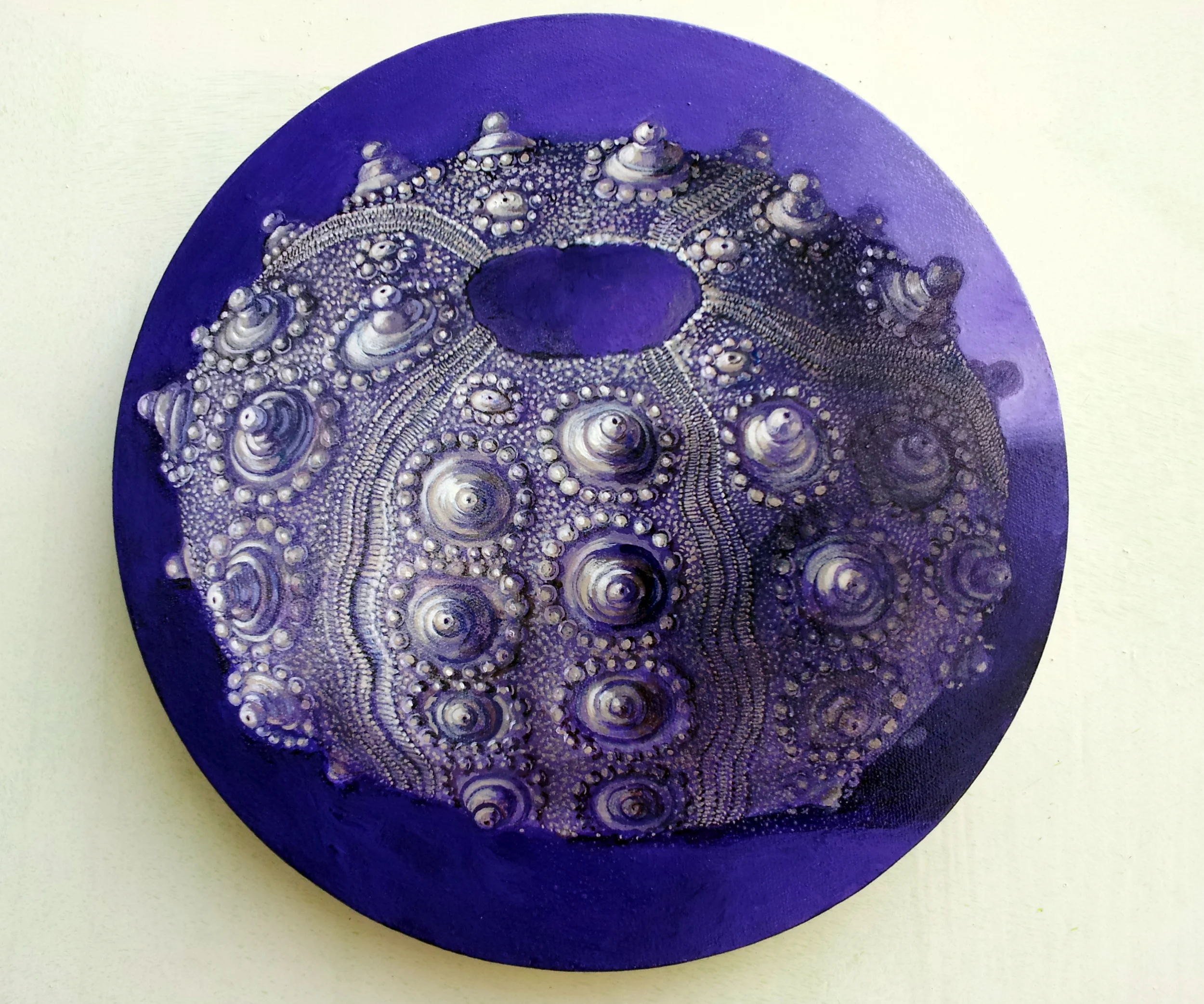 Sea Urchin Skeleton