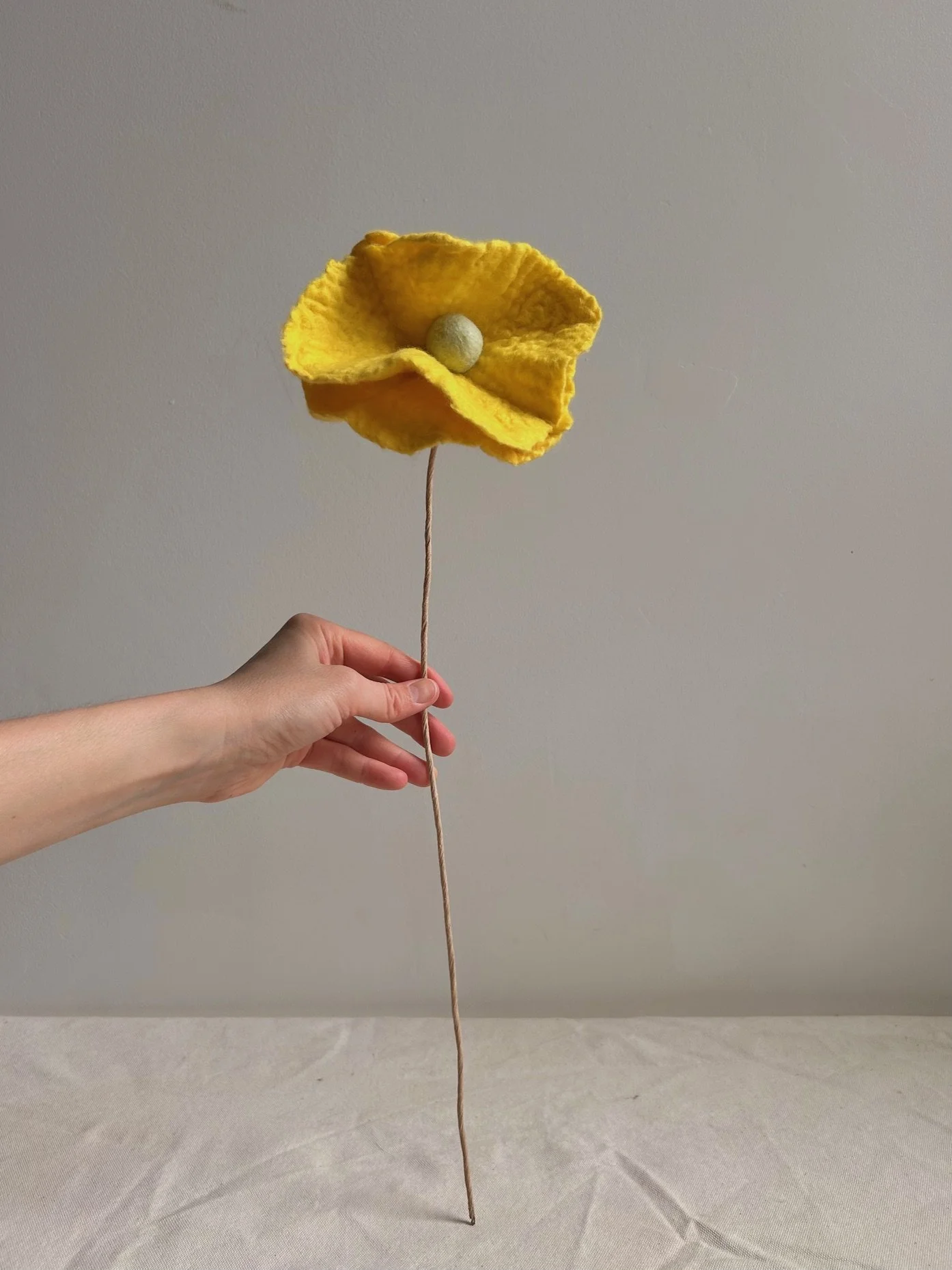 Double Petal Fleur : Sun Petals & Mint Centre