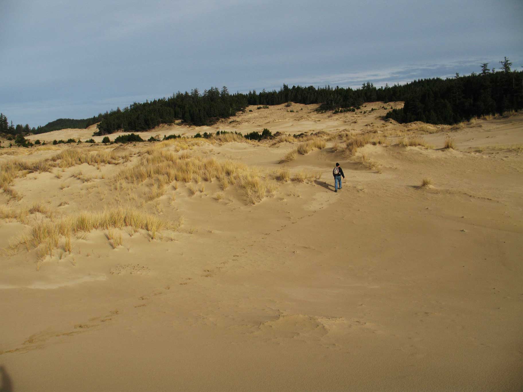 Oregon Dunes