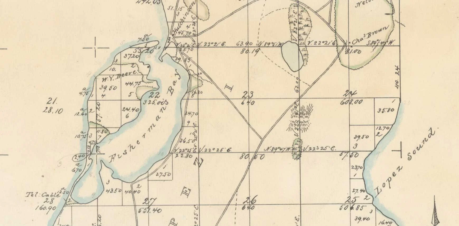 1874 Survey map (detail)