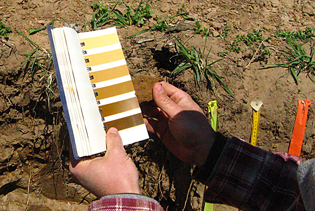 Soil_Judging_2013_WI-046.jpg