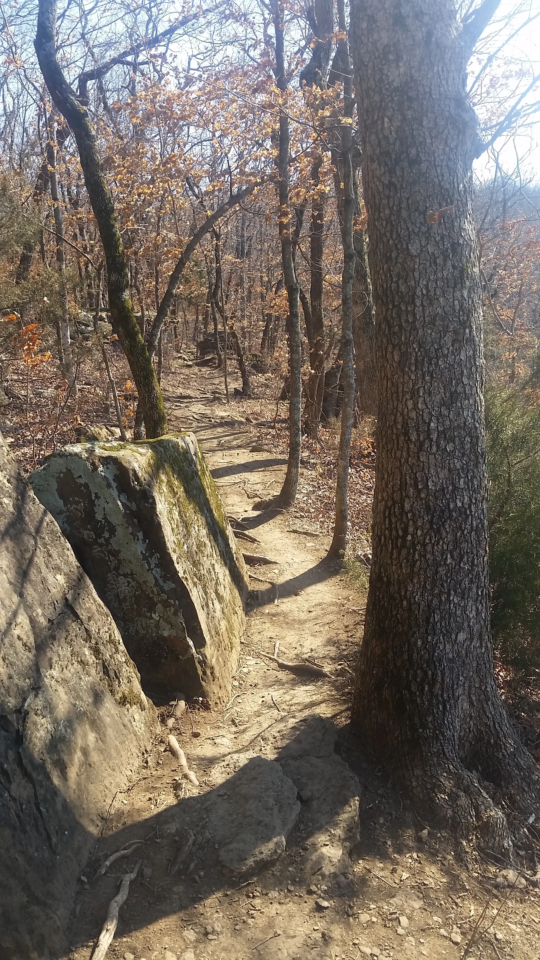 Let the sun illuminate your path! 