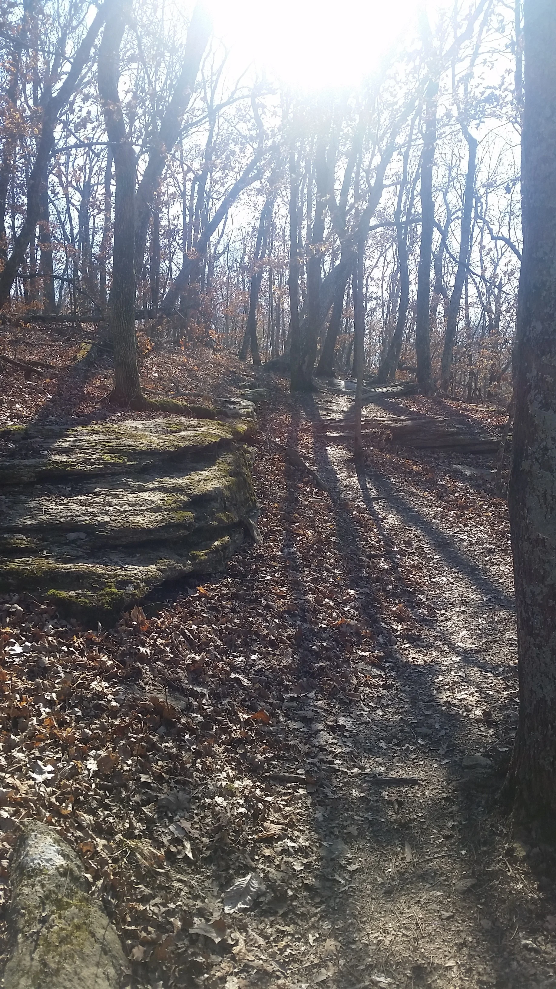 Week Four: Shattering patterns